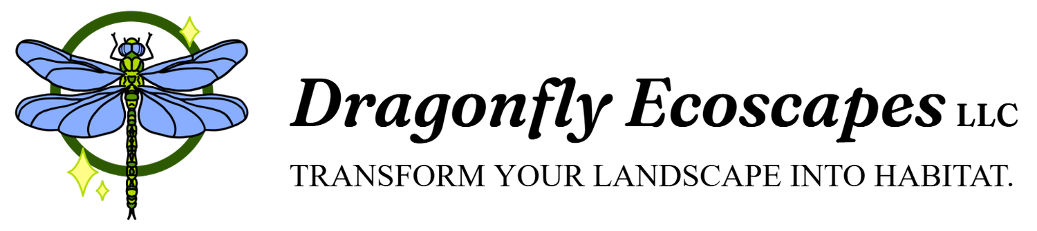 Dragonfly Ecoscapes LLC