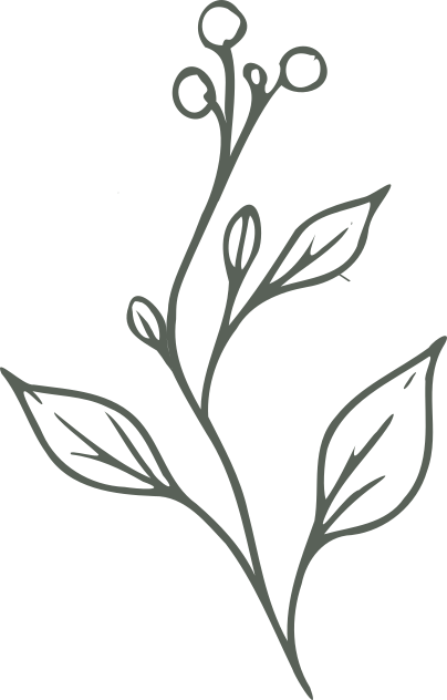 Botanical illustration with leaves and roots.