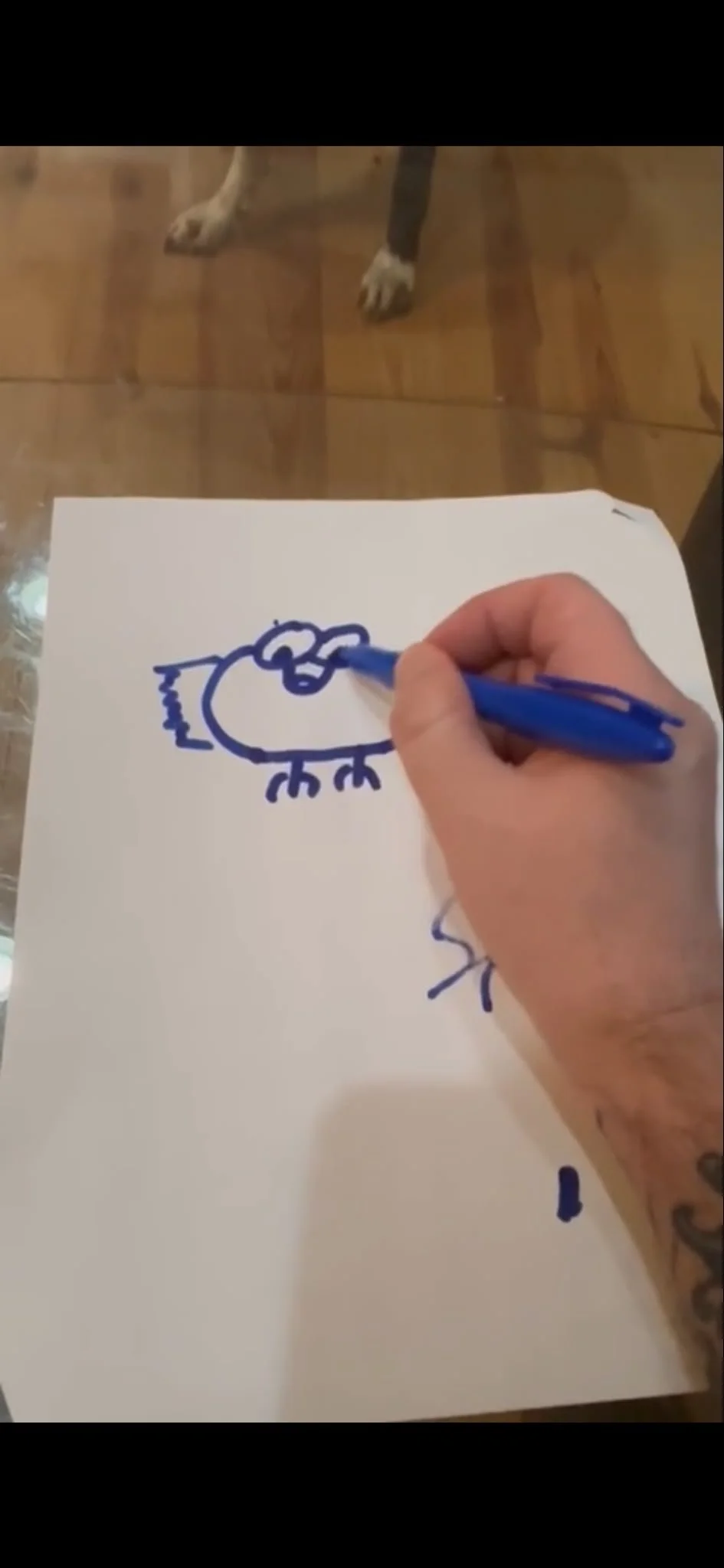A person drawing cartoon-style animal figure on white paper with a blue marker, with dog paws visible in the background on a wooden floor.
