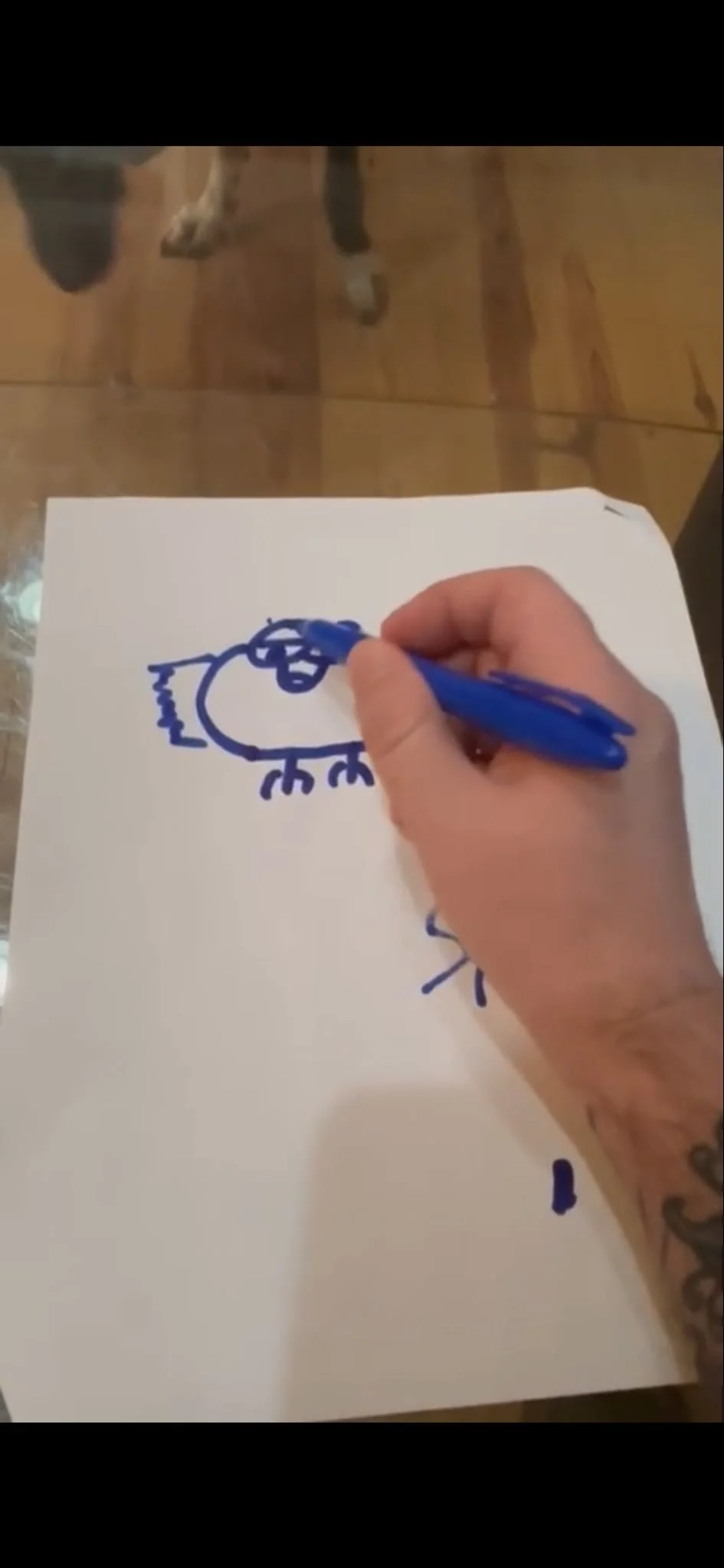 Person drawing a simple, childlike blue sketch of a dog on a white sheet of paper with a blue marker, with a wooden floor and dog legs visible in the background.