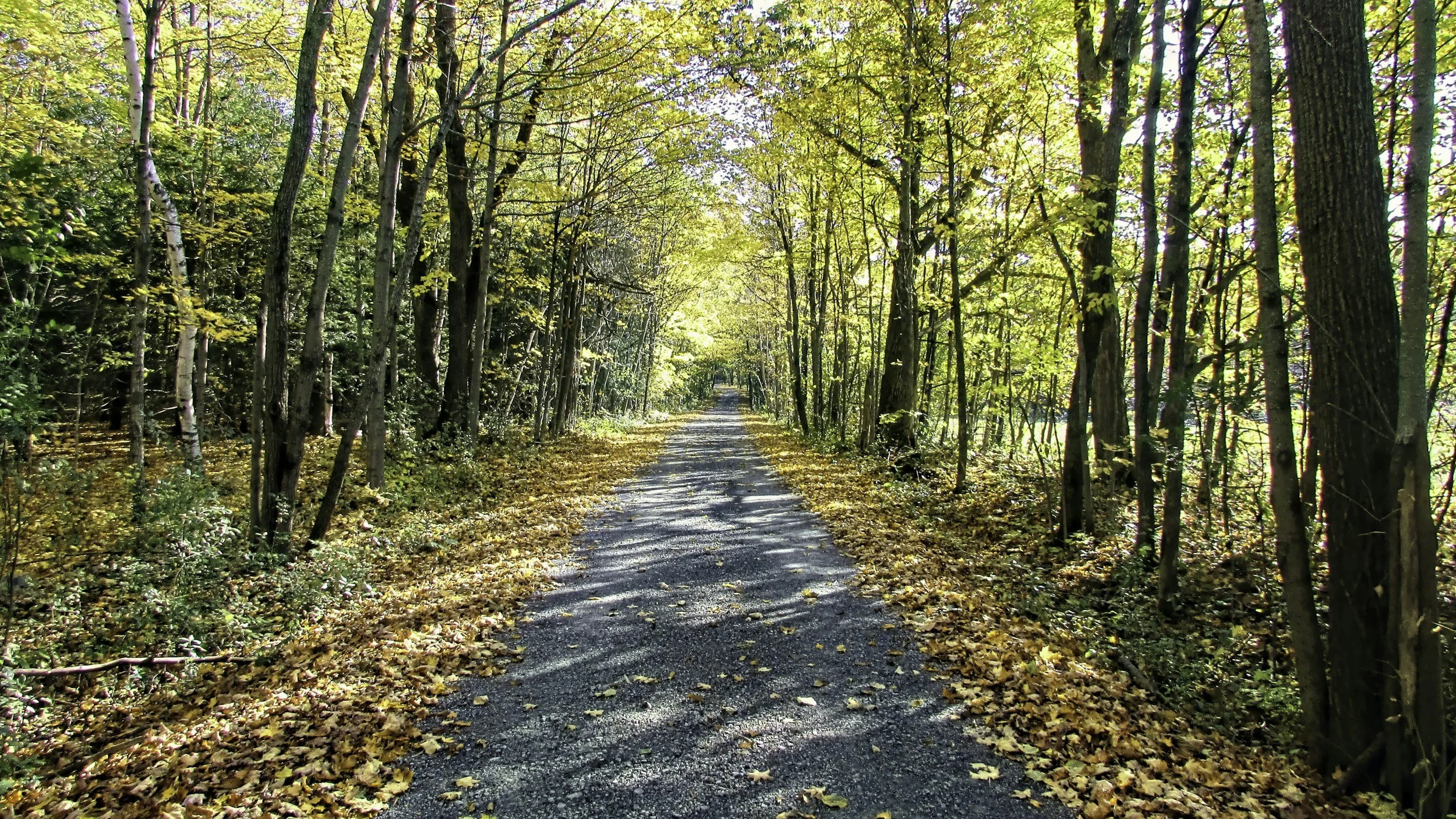 Navigating New Seasons