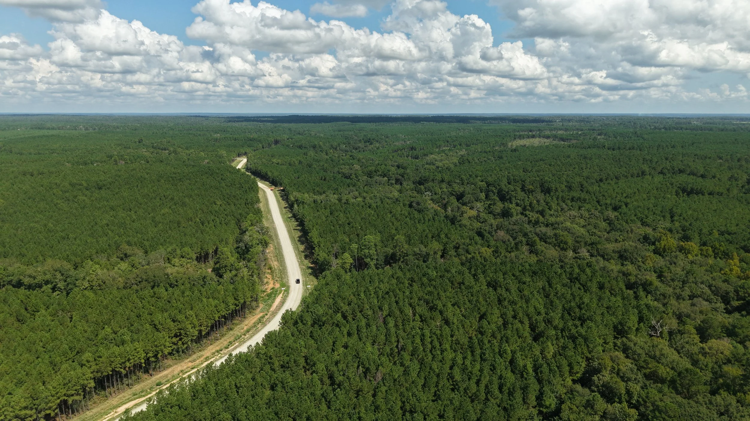 Aerial view of wooded acreage with a winding road between Huntsville and The Woodlands, Texas.