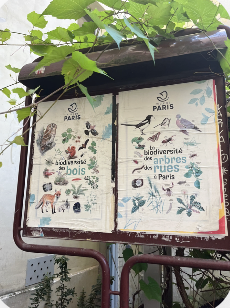 Parks feature these signs promoting biodiversity of plant and animal life