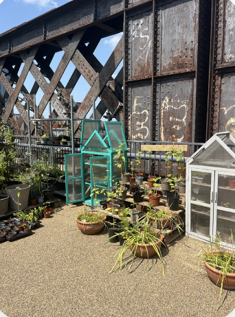 Gardens along Castlefield Viaduct, a viaduct uniquely converted into a public park 