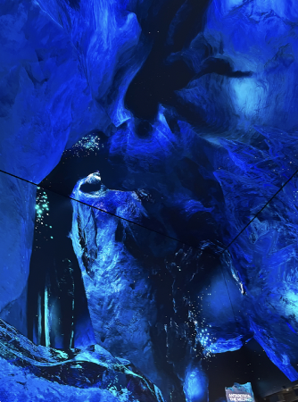 An art exhibition illuminating awareness for the melting of the Arctic due to climate change