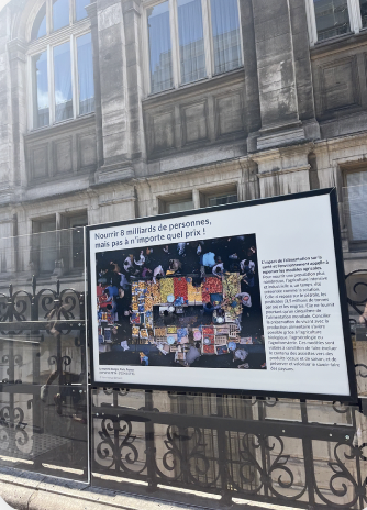 Murals lining the building with photos and descriptions of climate issues