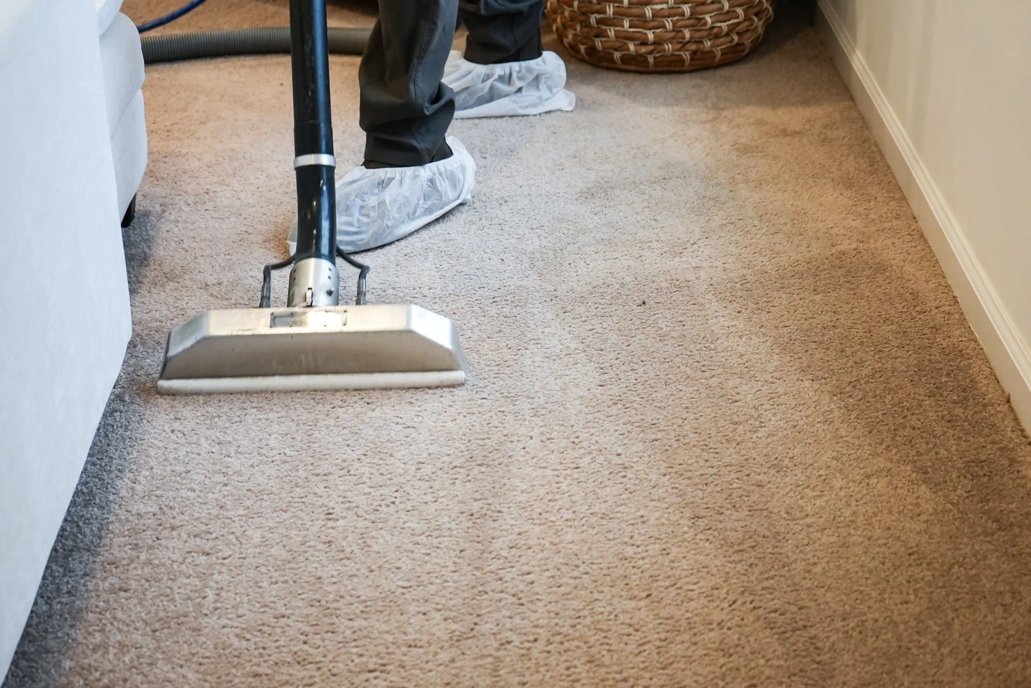 Our Services | Experience Cleanliness Today - Schedule Now — Dixon ...