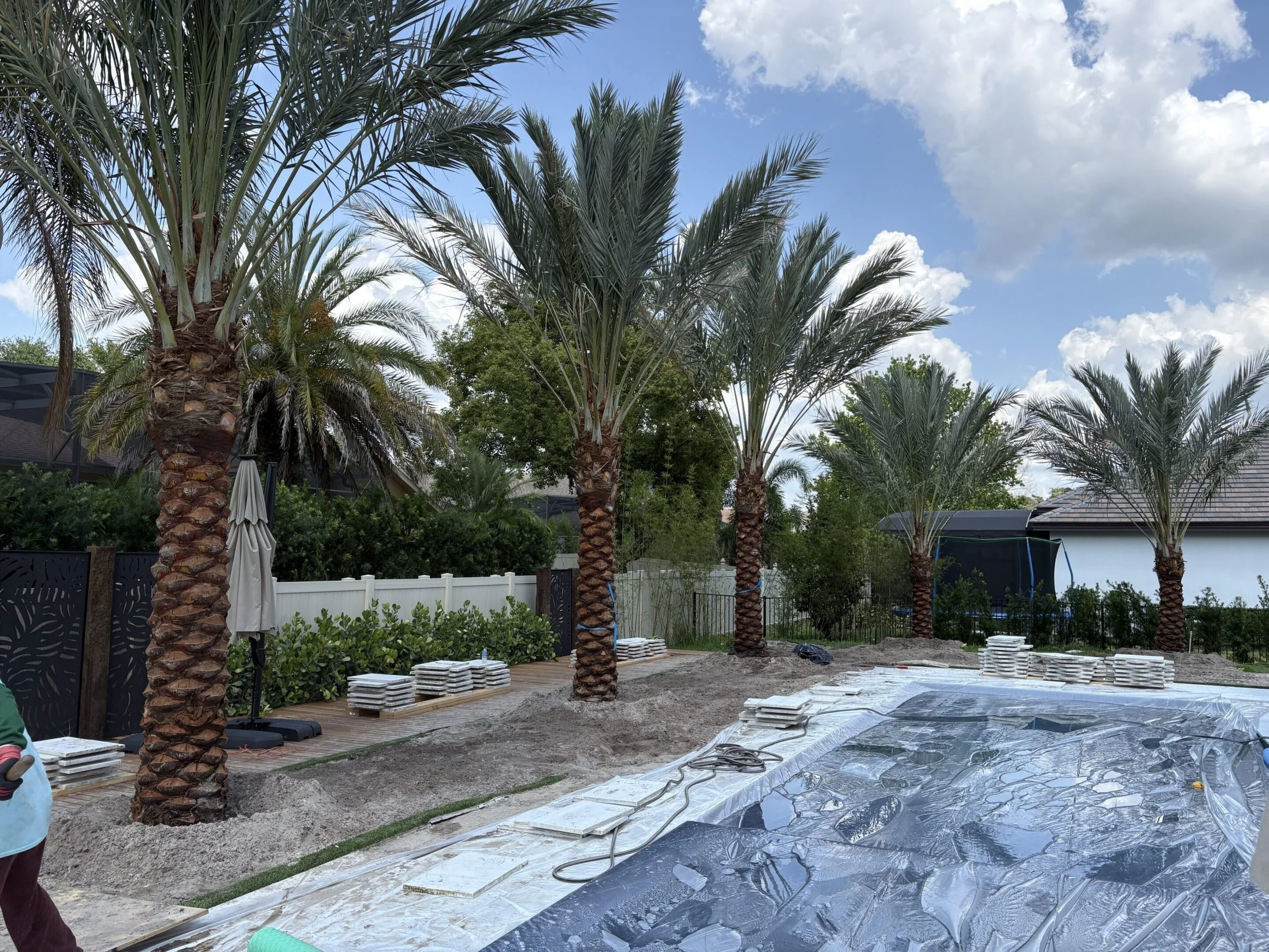 Backyard under construction with palm trees, a wooden deck, stacked tiles, and construction materials.