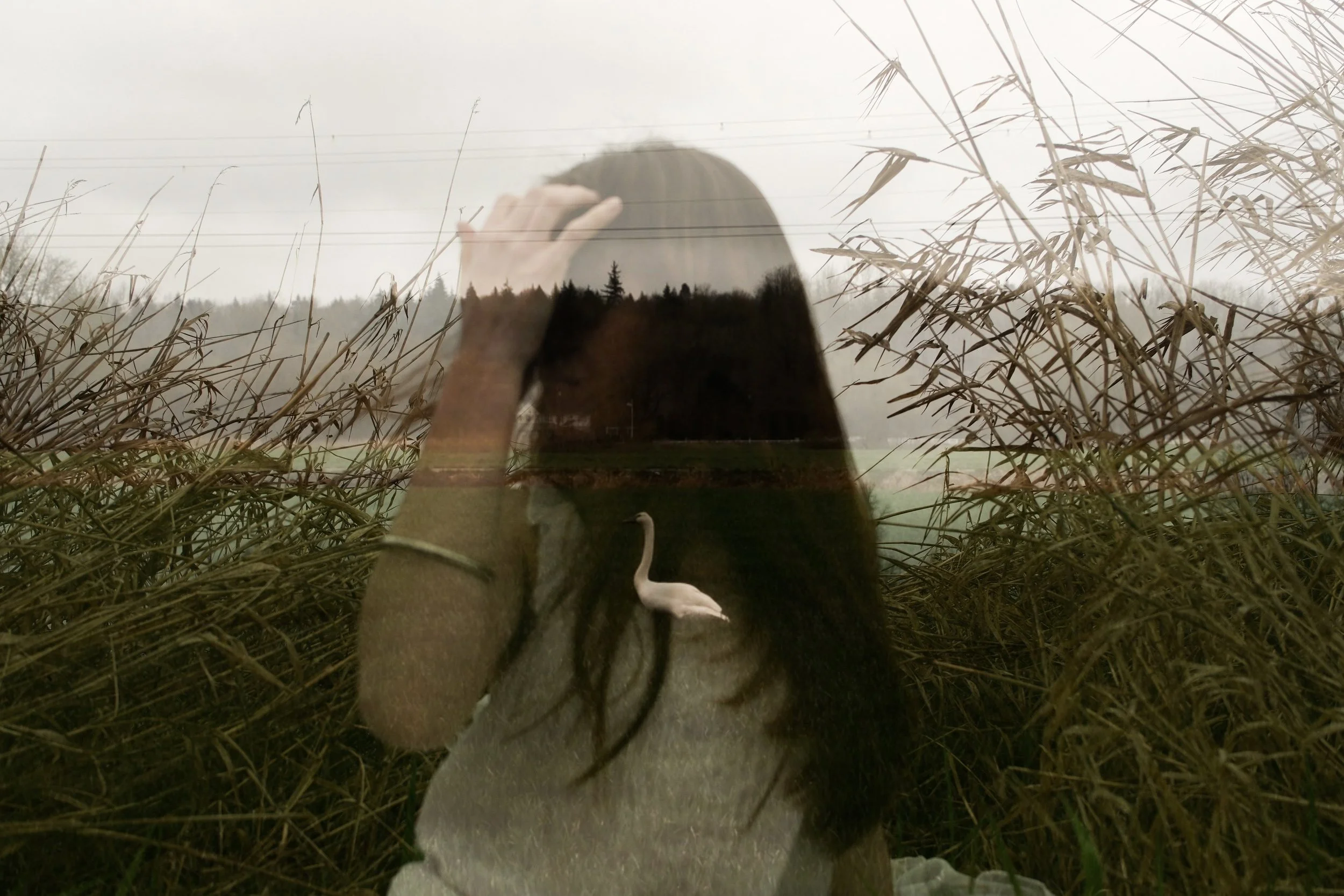 Catching Grasshoppers 2.JPG