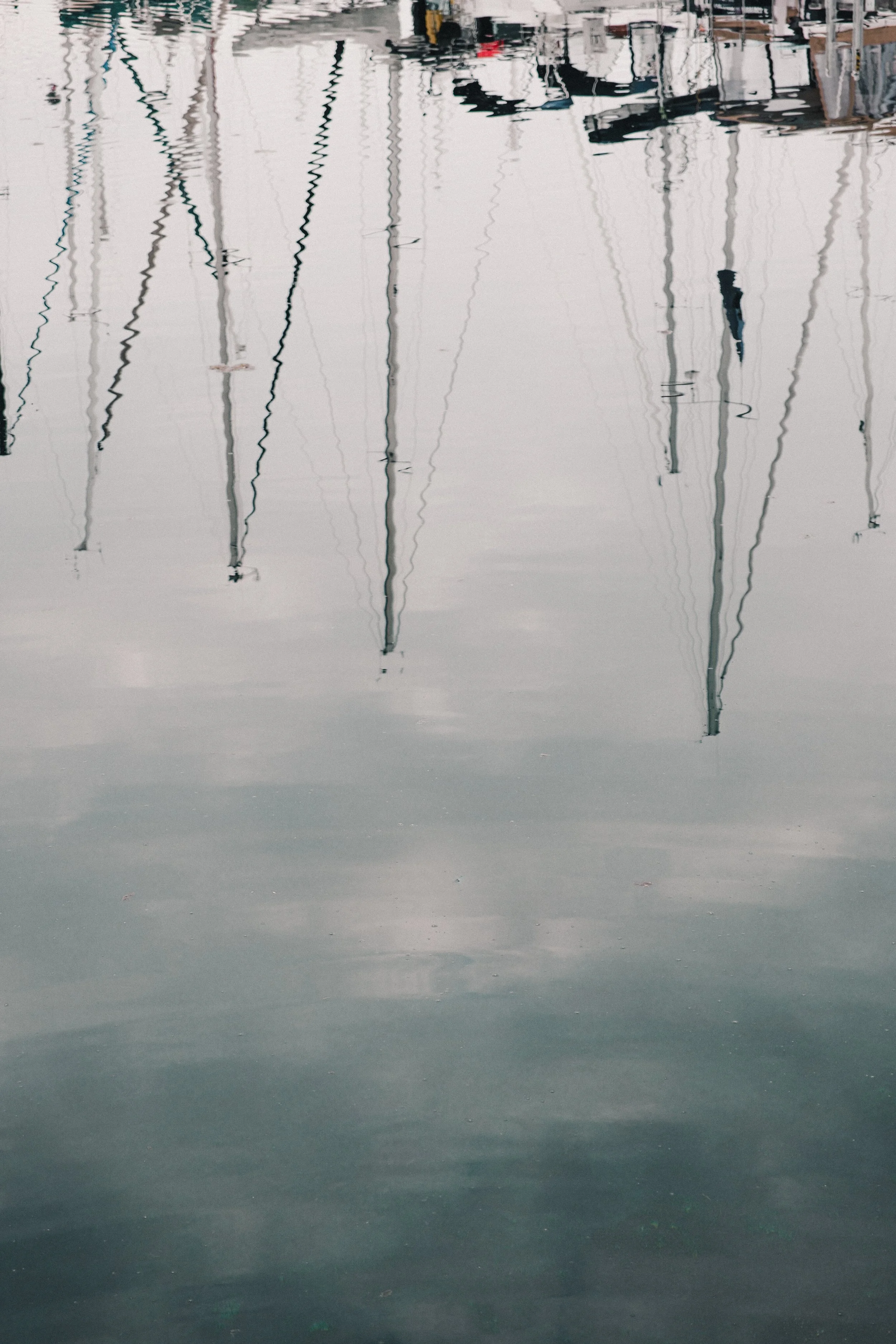 DSCF8117.jpg