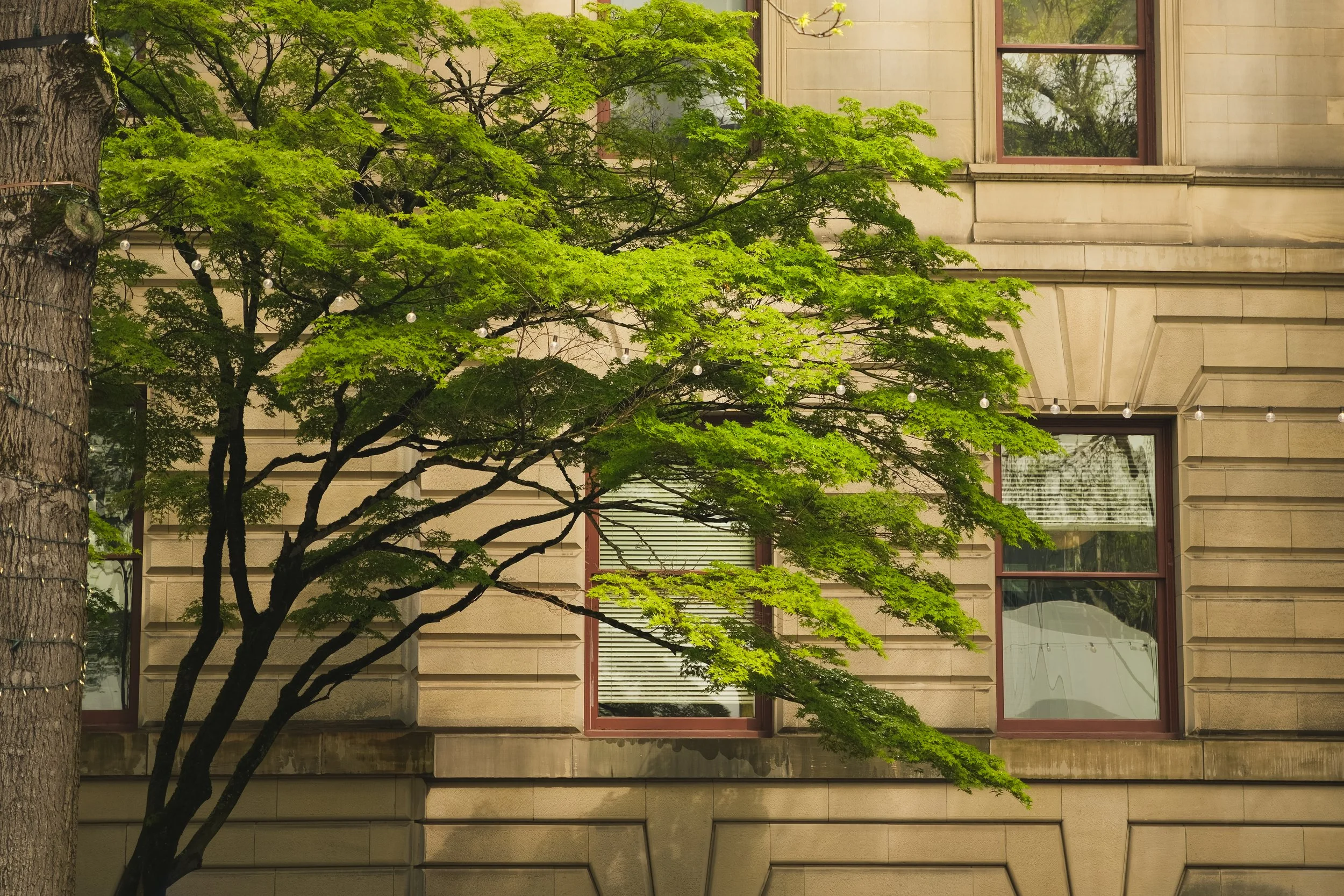 DSCF9367.jpg