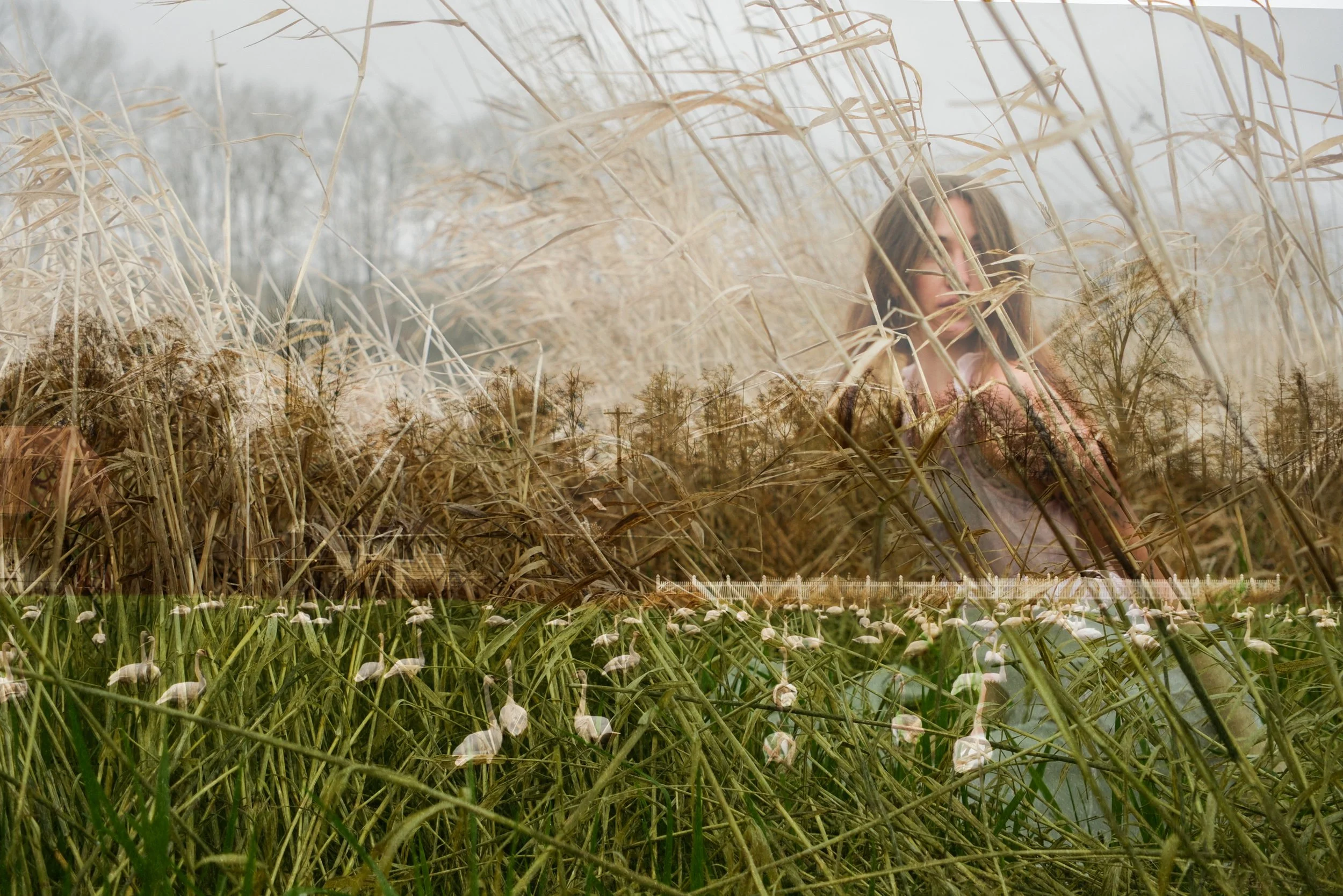 Catching Grasshoppers 5.JPG