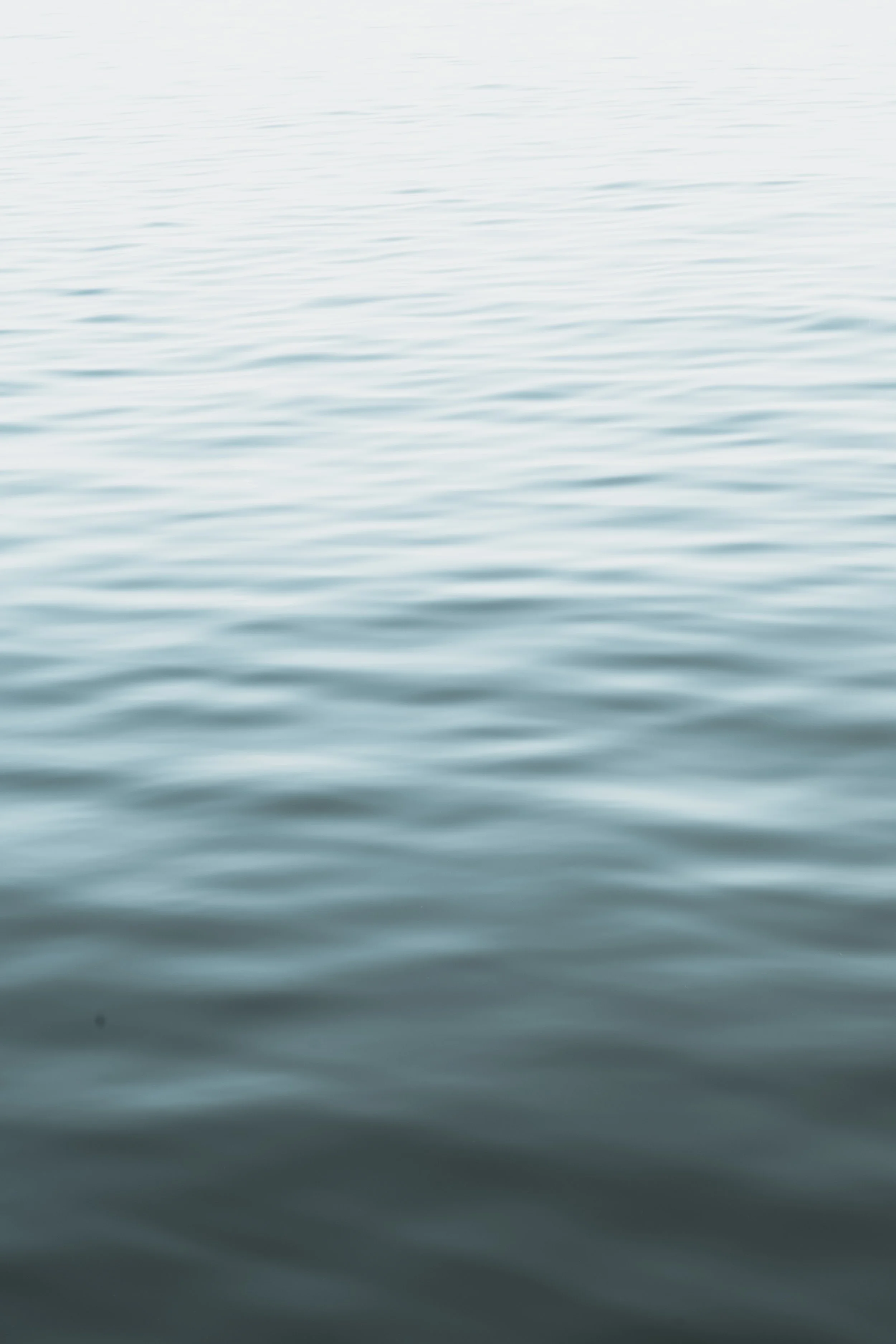 DSCF7889.jpg