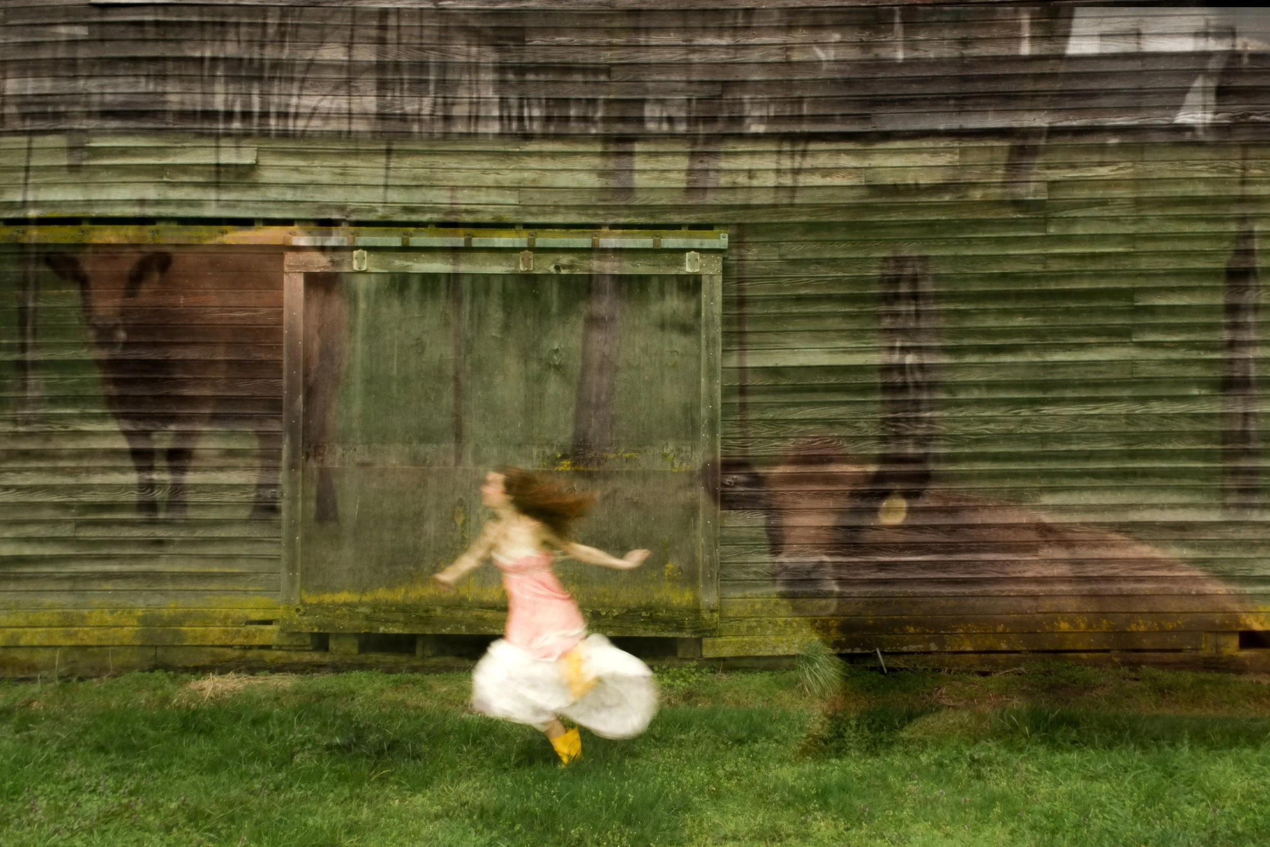 Catching Grasshoppers 4.JPG