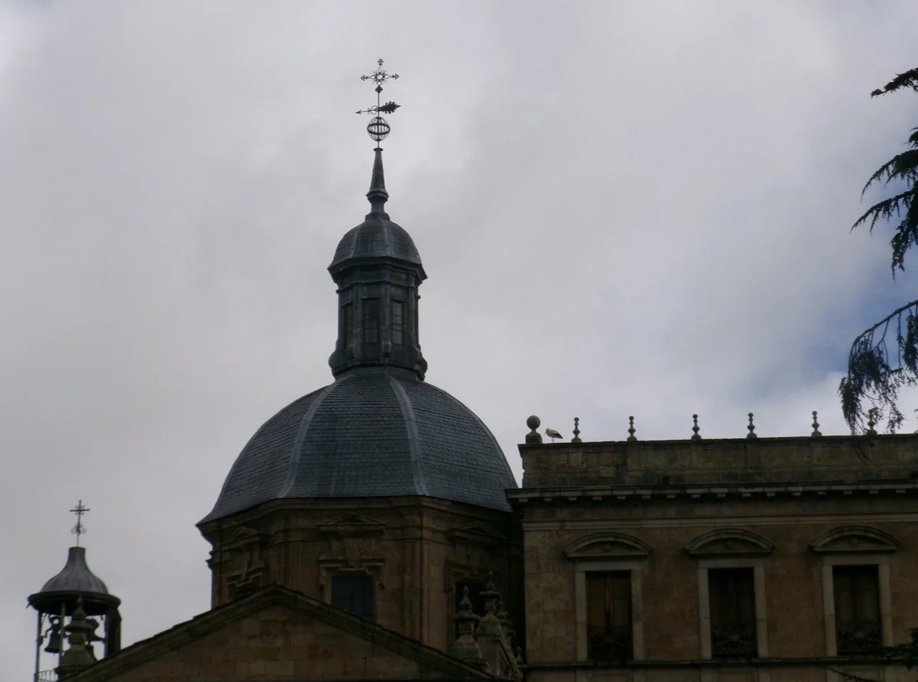 IMG_4686.jpeg