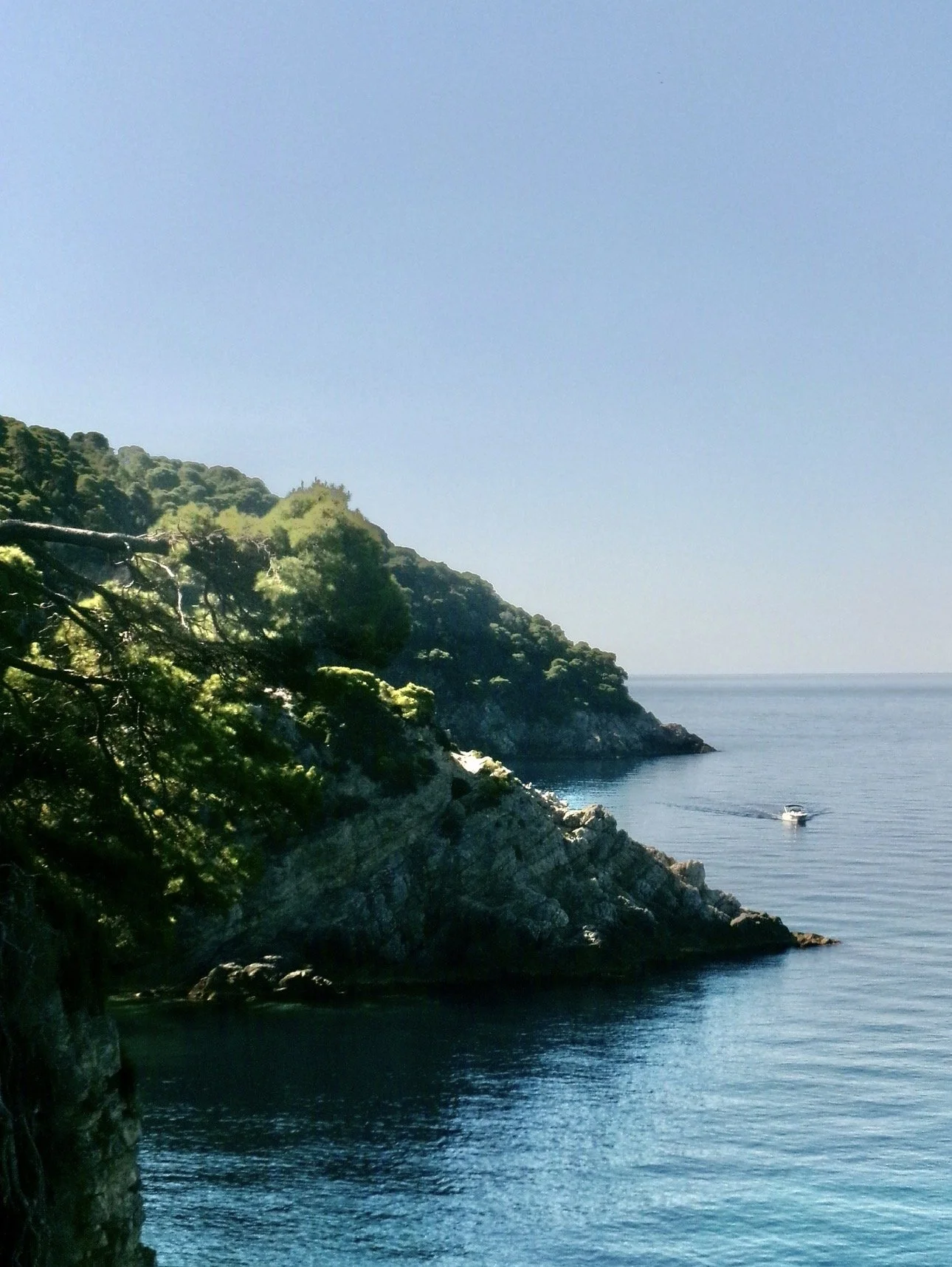 IMG_4718.jpeg