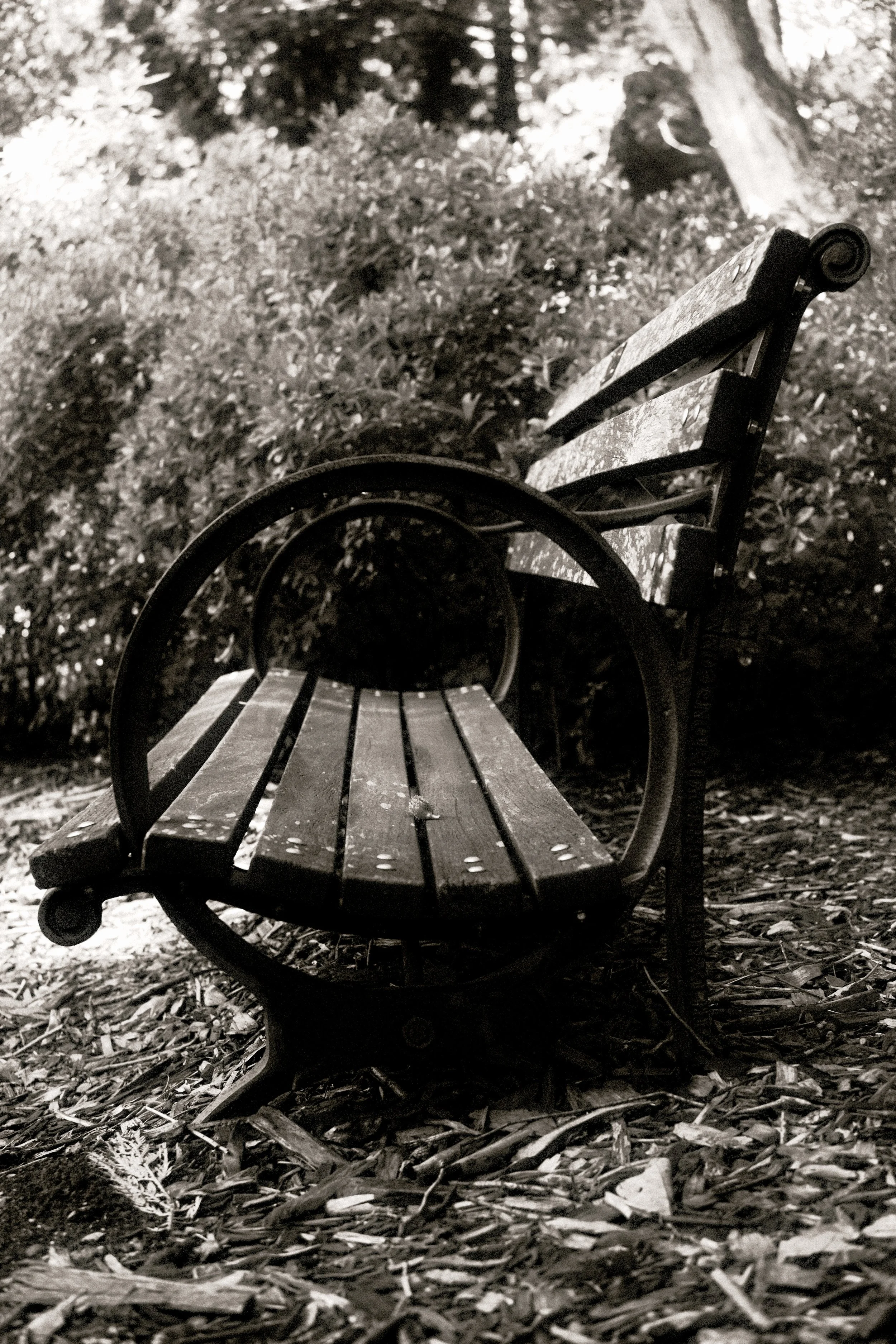 DSCF7156.jpg
