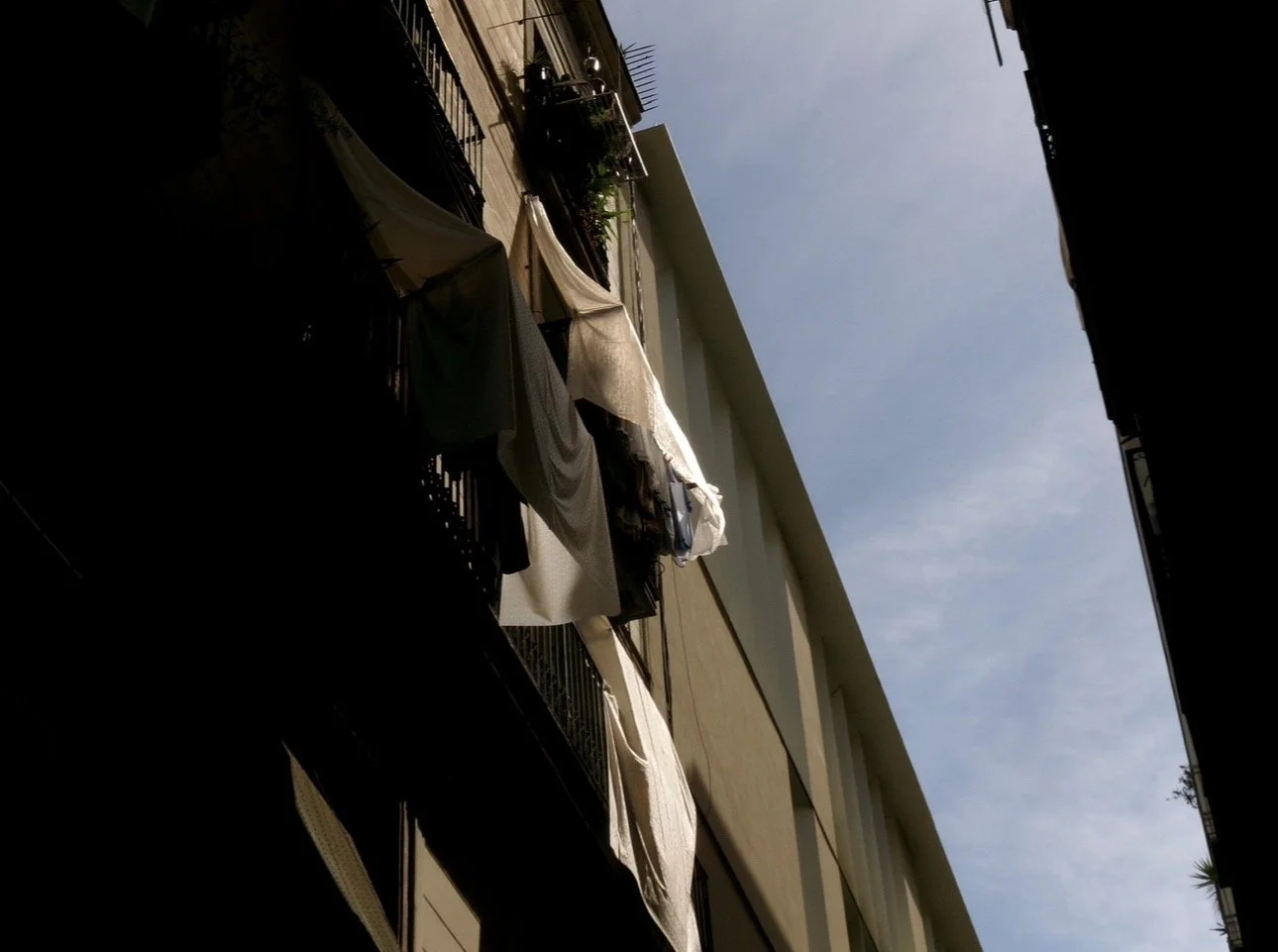 IMG_4737.jpeg