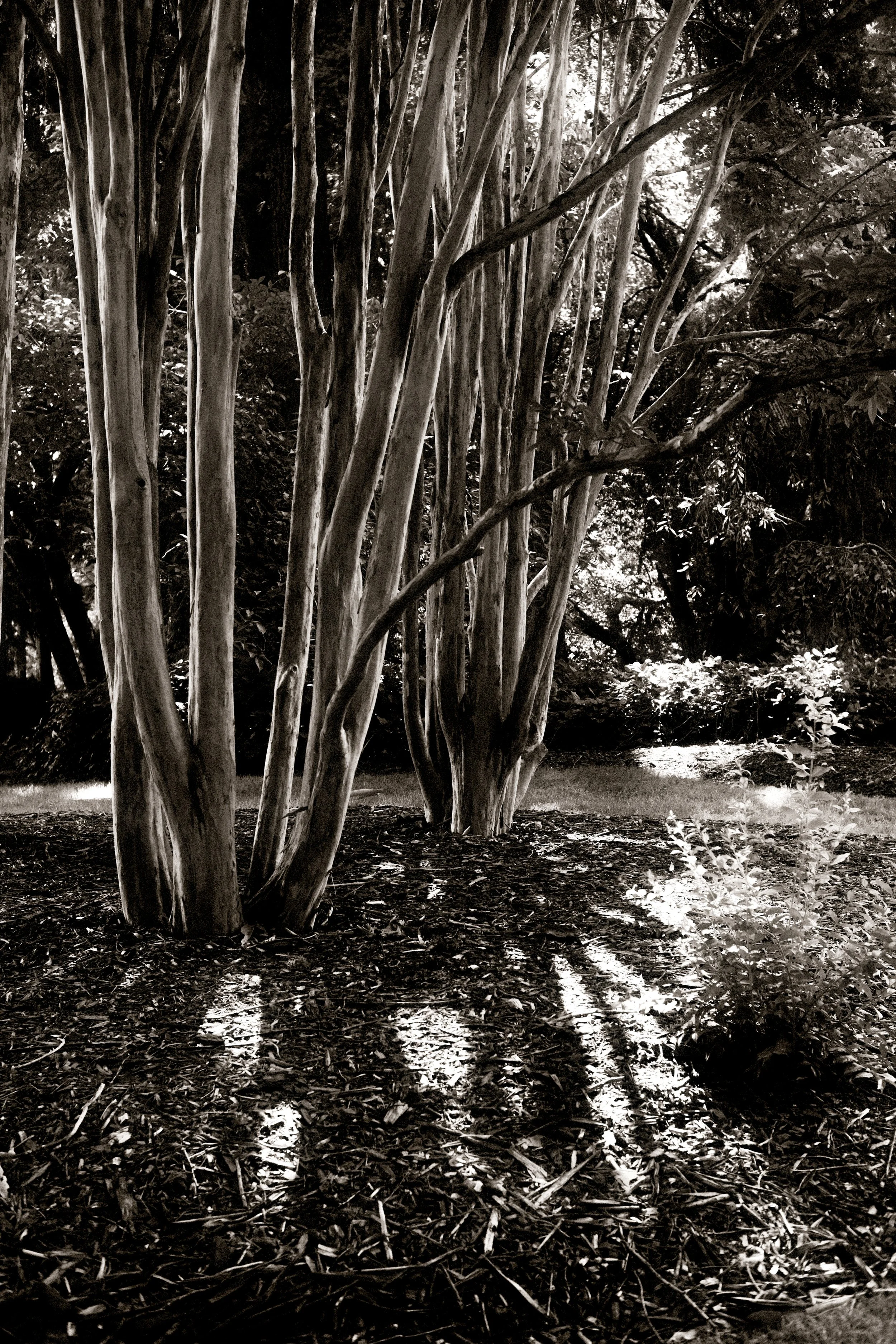 DSCF7157.jpg
