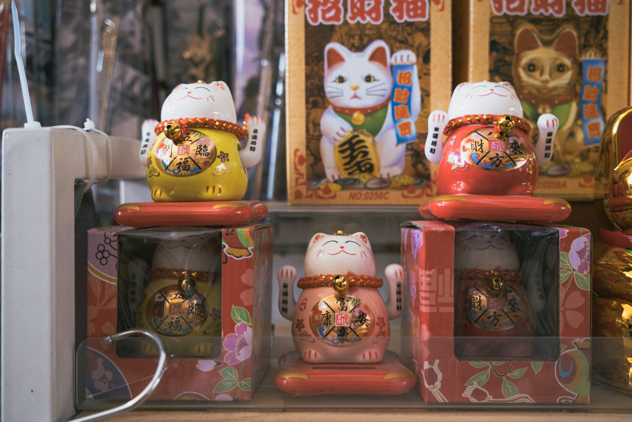 DSCF1419.jpg