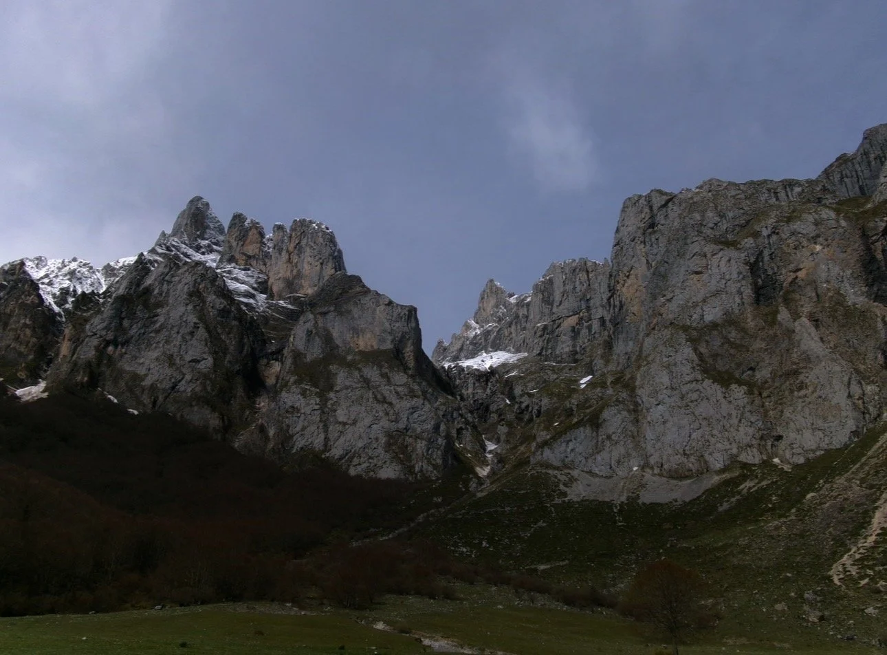 IMG_4707.jpeg