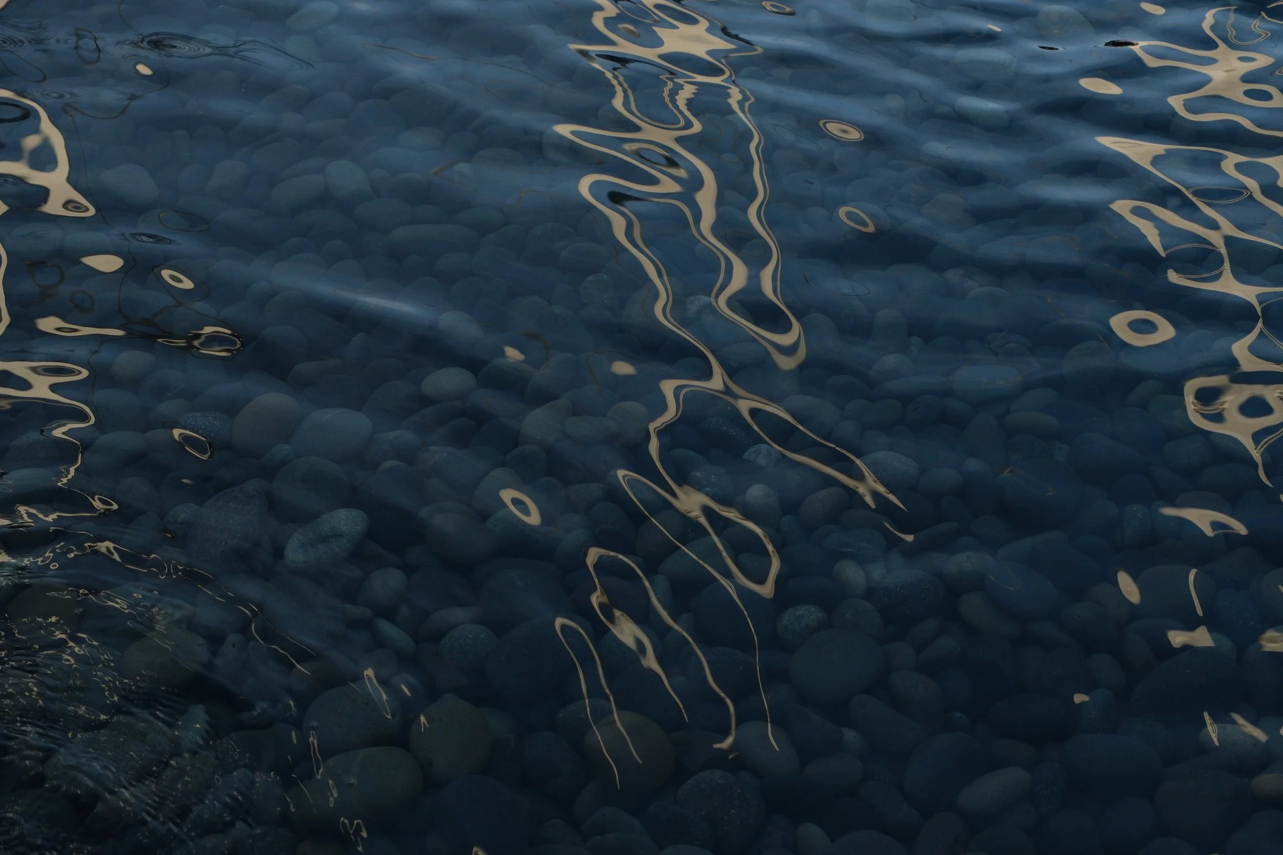 DSCF1277.jpg