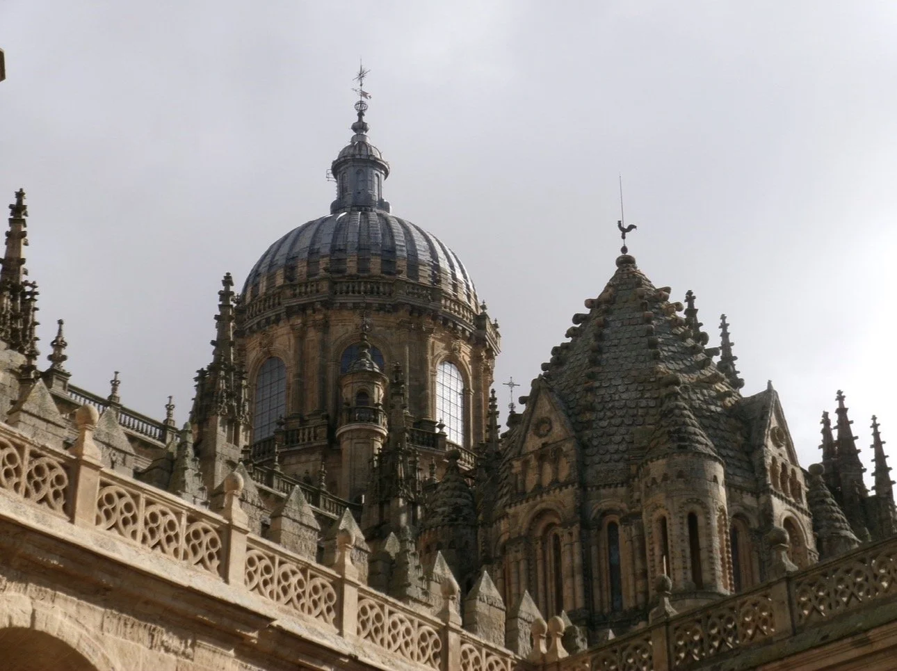 IMG_4685.jpeg