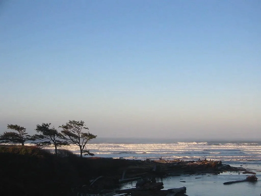 Coastal landscape with a few trees, ocean waves, and driftwood under a clear sky.