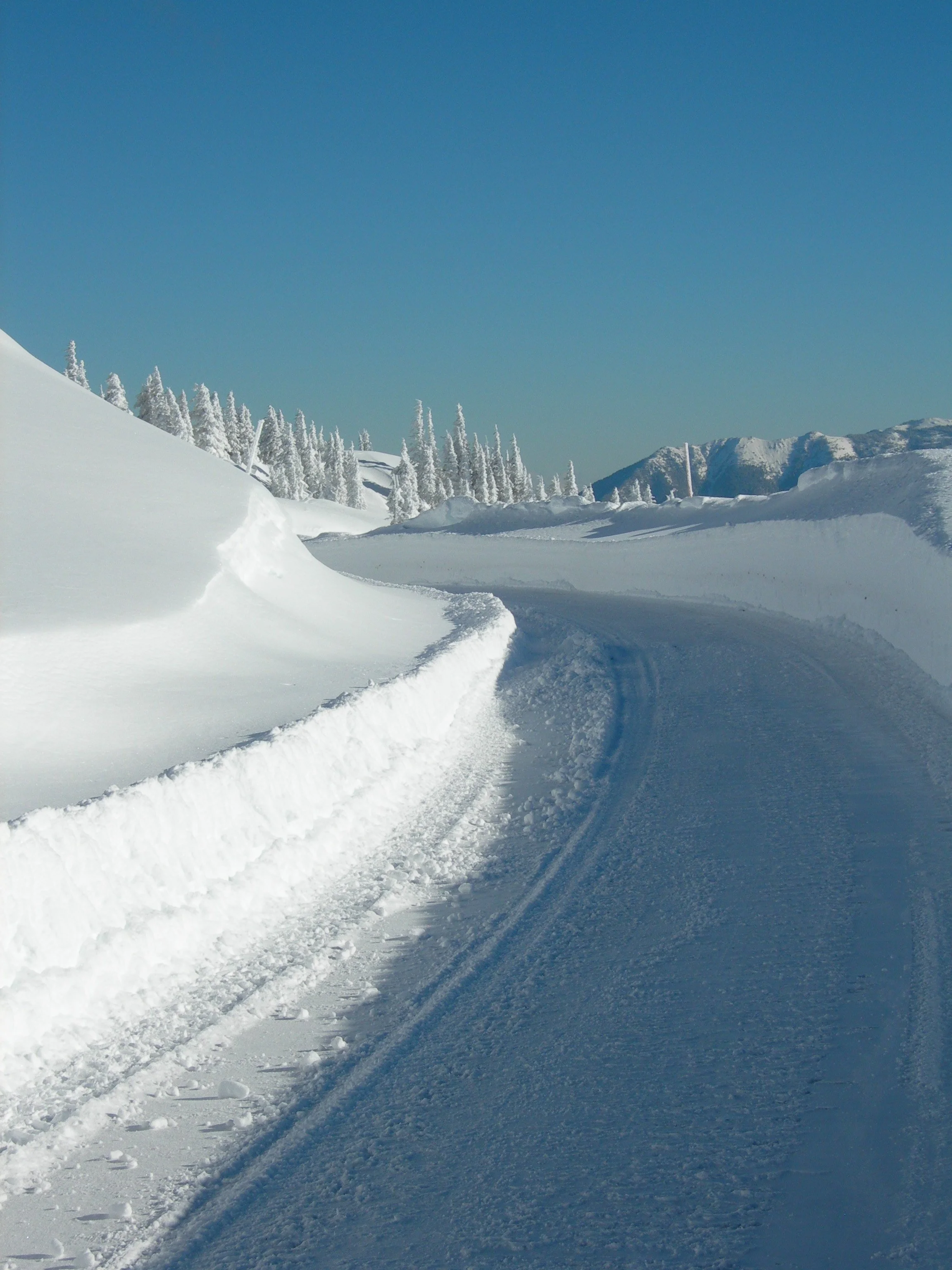 Snow-covered landscape with a snow path, snow-blanketed trees, distant mountain, clear blue sky, and bright sunlight.