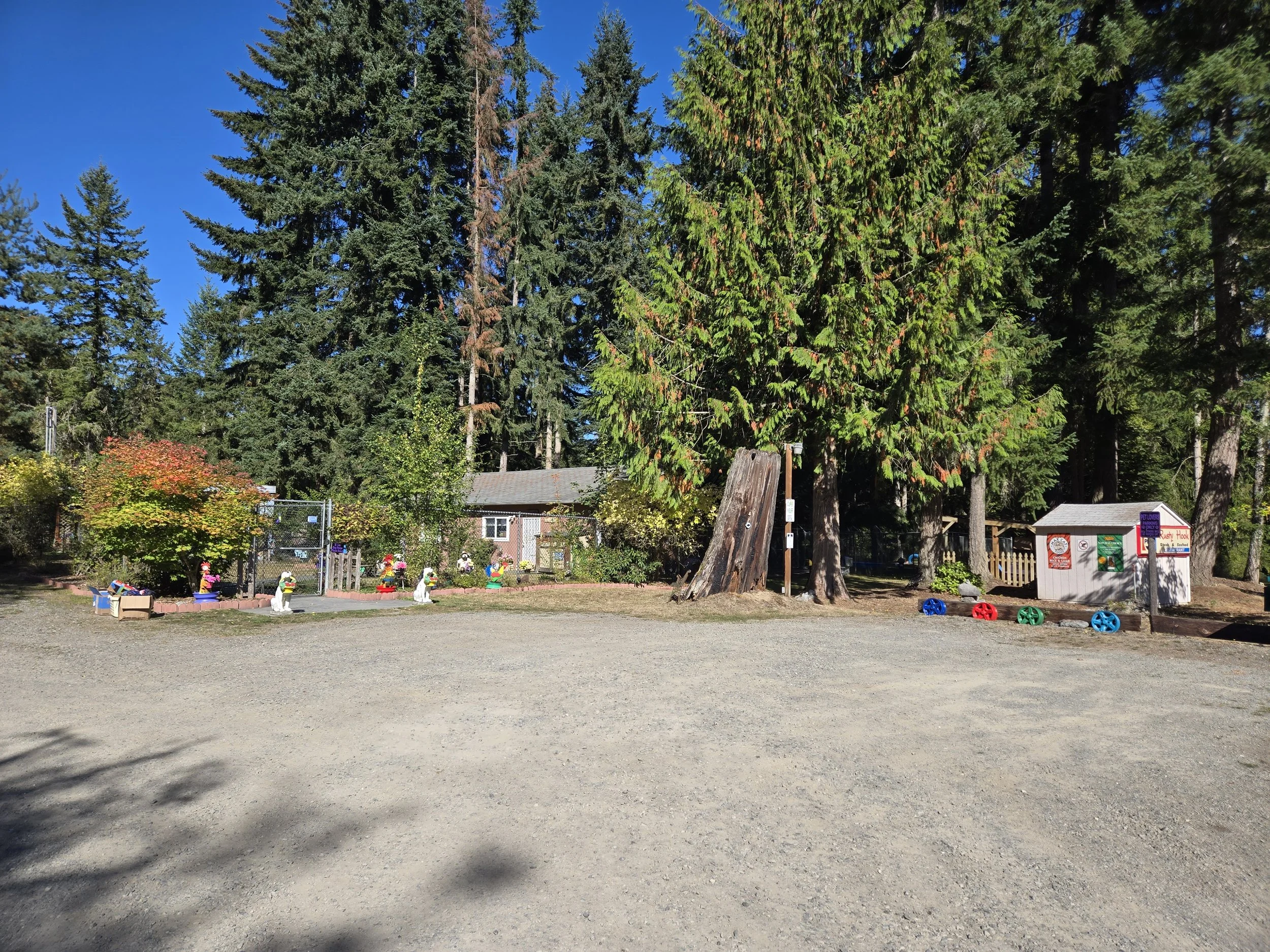 A gravel parking area, fence, trees, and a small building. There are colorful decorations along the fence, including garden gnomes. Tall evergreen trees dominate the background under a clear blue sky.
