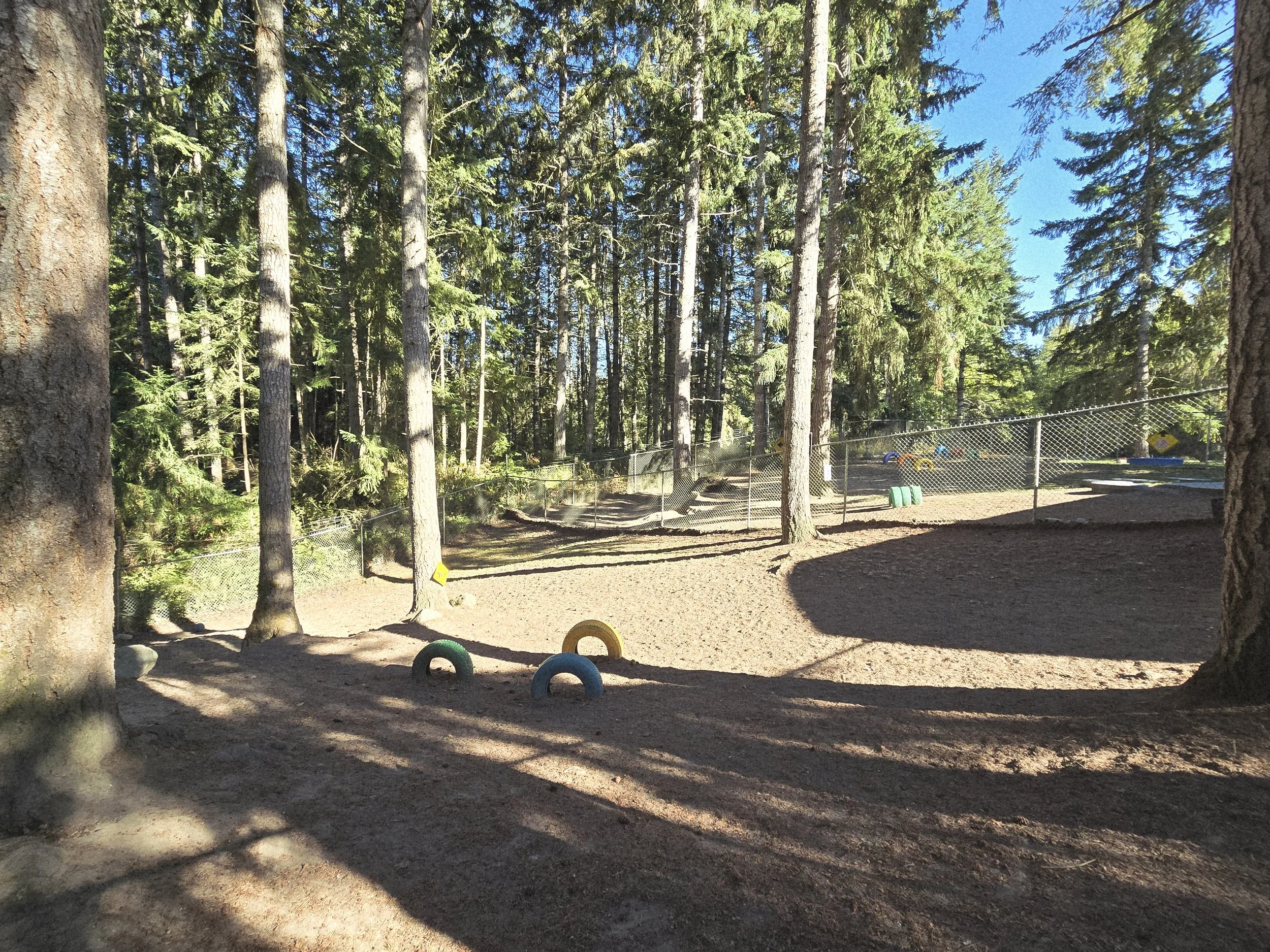 One of 4 play yards at Paw Prince dog boarding facility. 8' high chain-link fence, tire obstacles, and a wooded area with tall pine trees in the background.