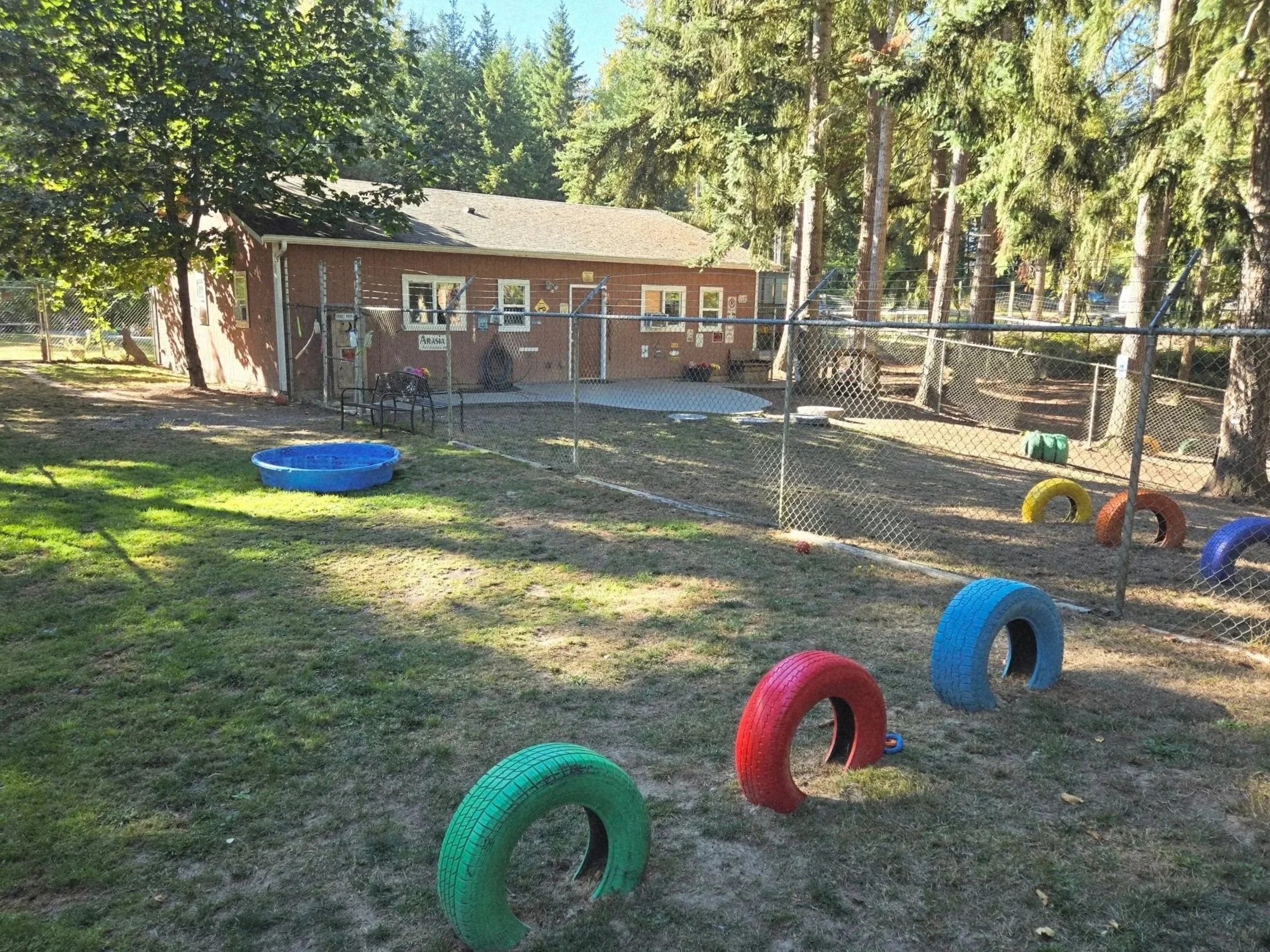 One of 4 outdoor play yards at Paw Prince boarding facility. This one features colorful tires, a bench, a blue plastic pool, and a brick building surrounded by tall trees and green grass.