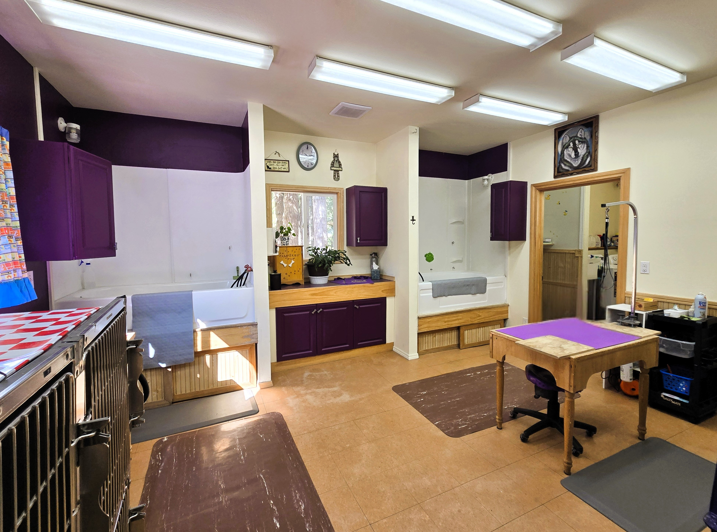 Interior of a room with purple and cream walls, wooden accents, and various furniture including a table, chairs, and dog grooming equipment. Fluorescent lights on the ceiling and windows with natural light.