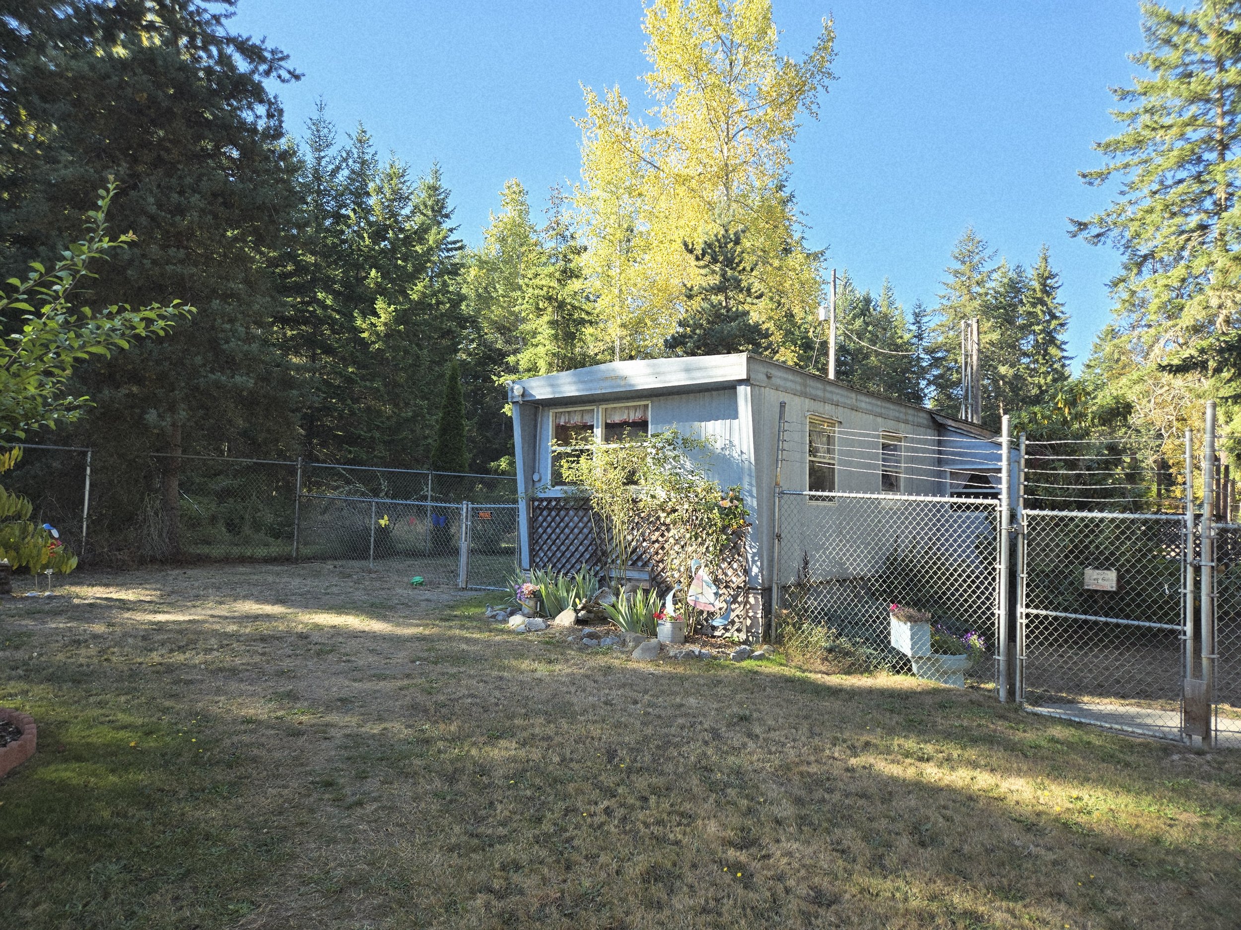 A backyard scene with a fenced yard, a small house with a metal roof and siding, surrounded by tall green trees and some colorful flowers near the house, under a bright blue sky.