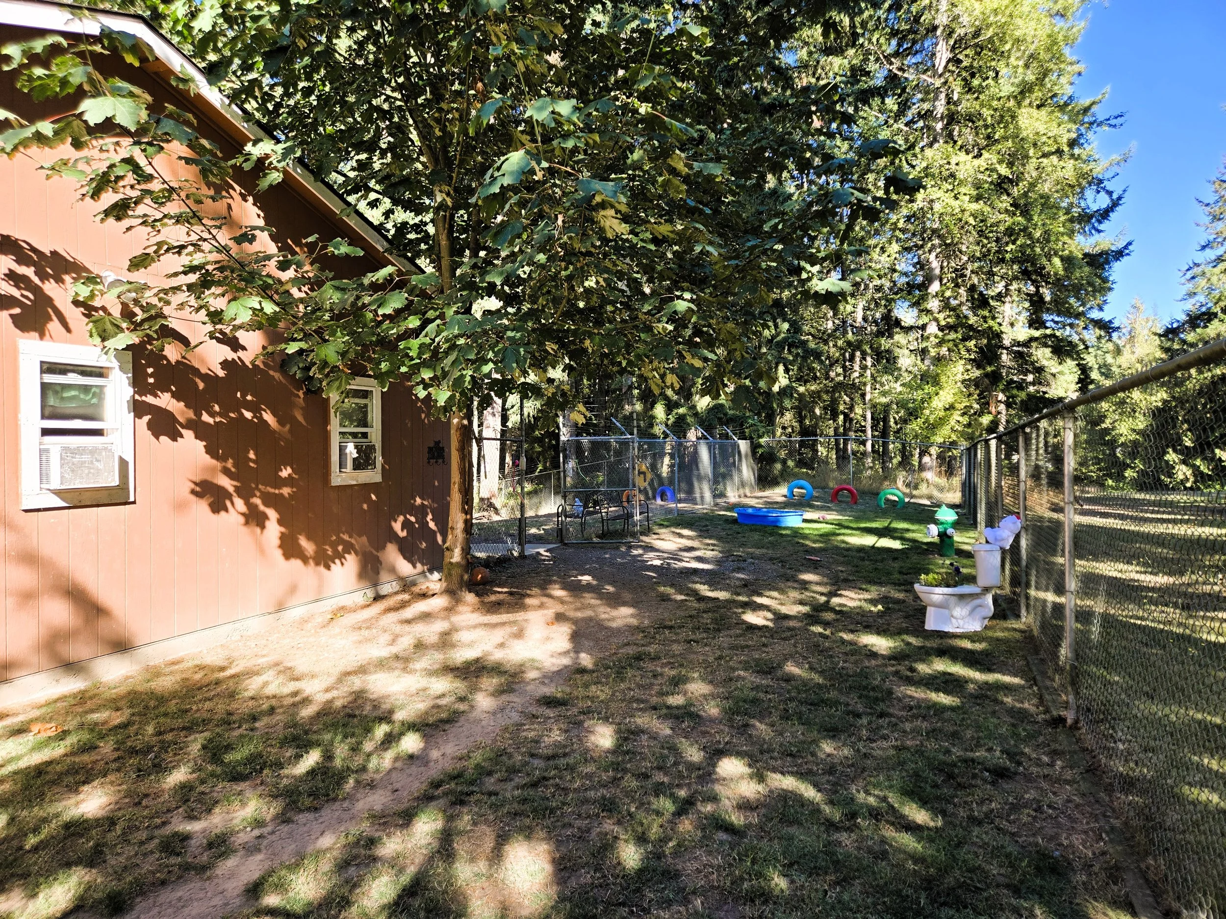 A backyard with a wooden house, trees, and dog play equipment, including colorful tires and a water basin, within a fenced area.