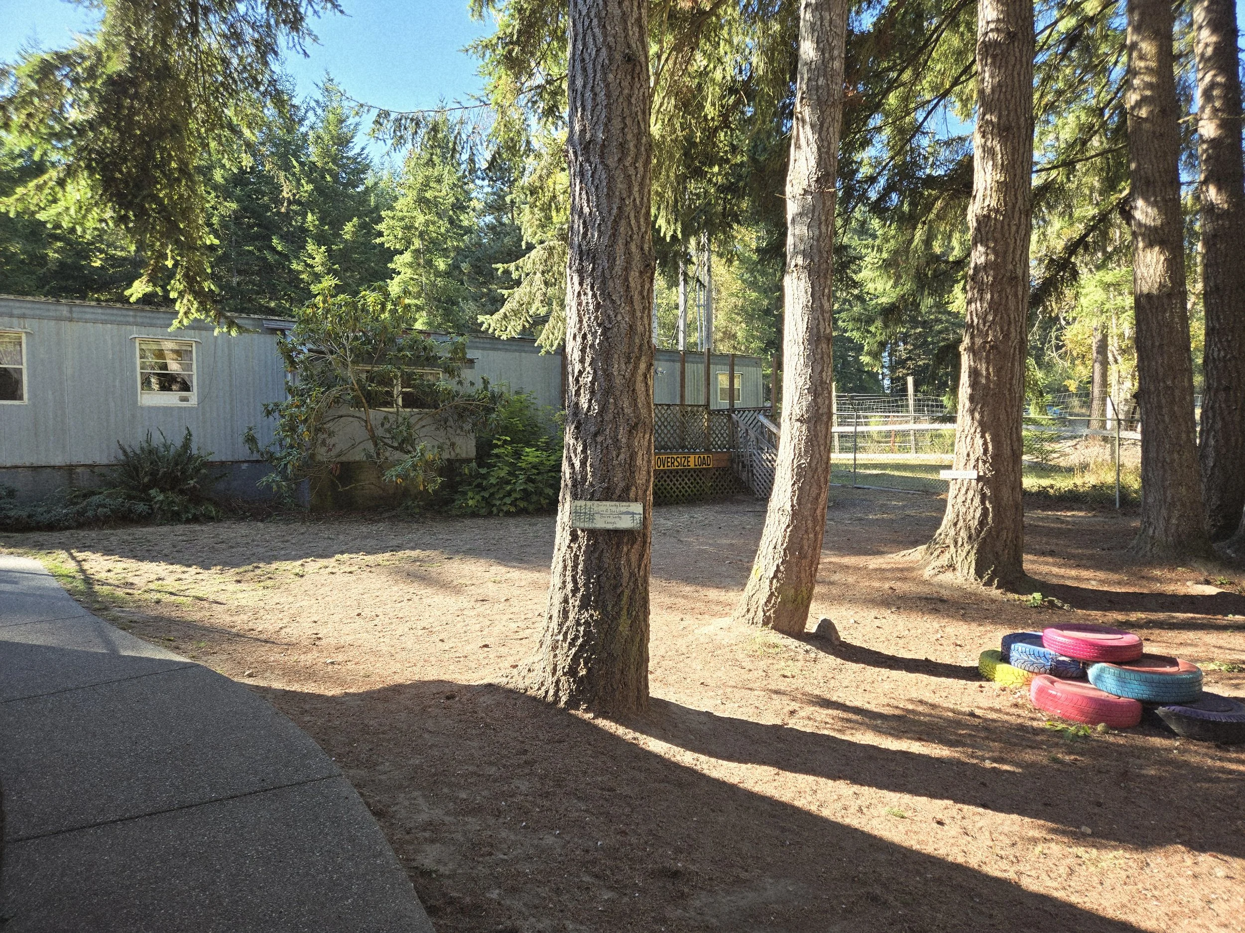 Trees in a park next to a building, with a pile of colorful tires on the ground and a small sign, under a bright blue sky.