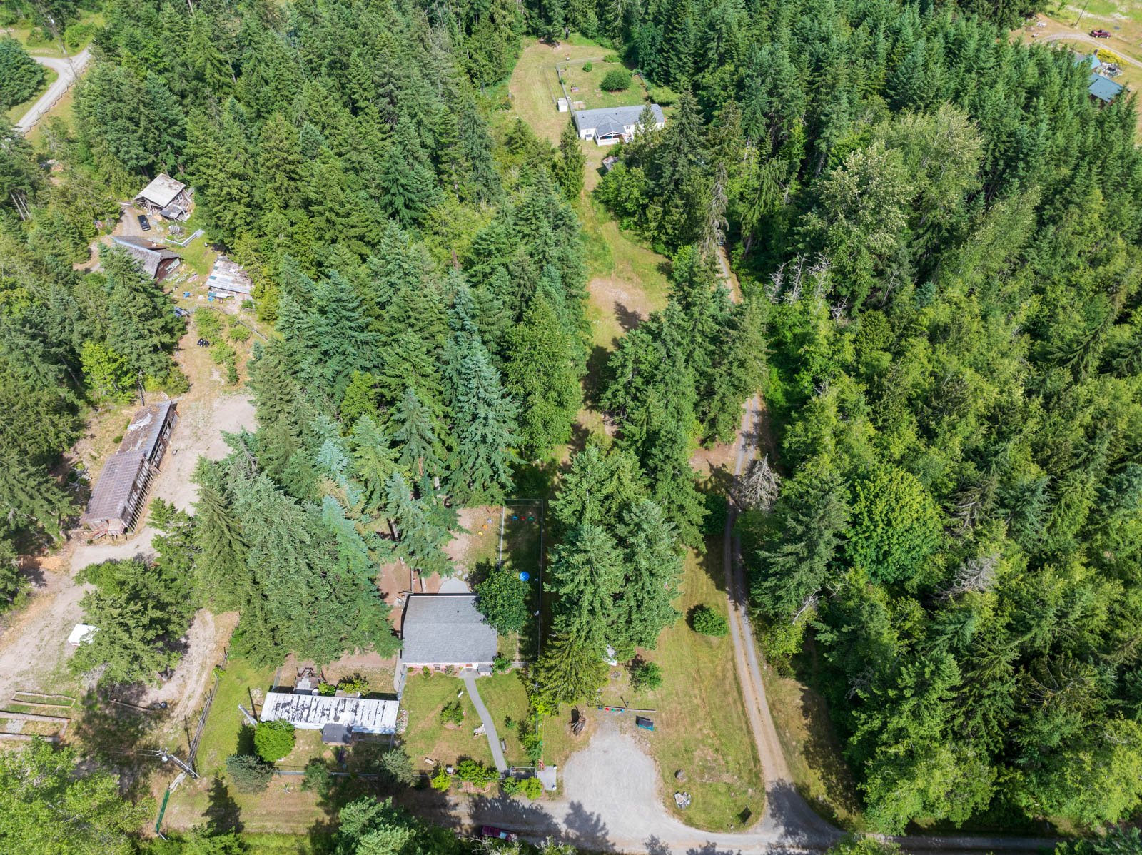 Aerial view of a wooded residential area with multiple houses, trees, and open grassy areas. Home to Paw Prince dog grooming and boarding.