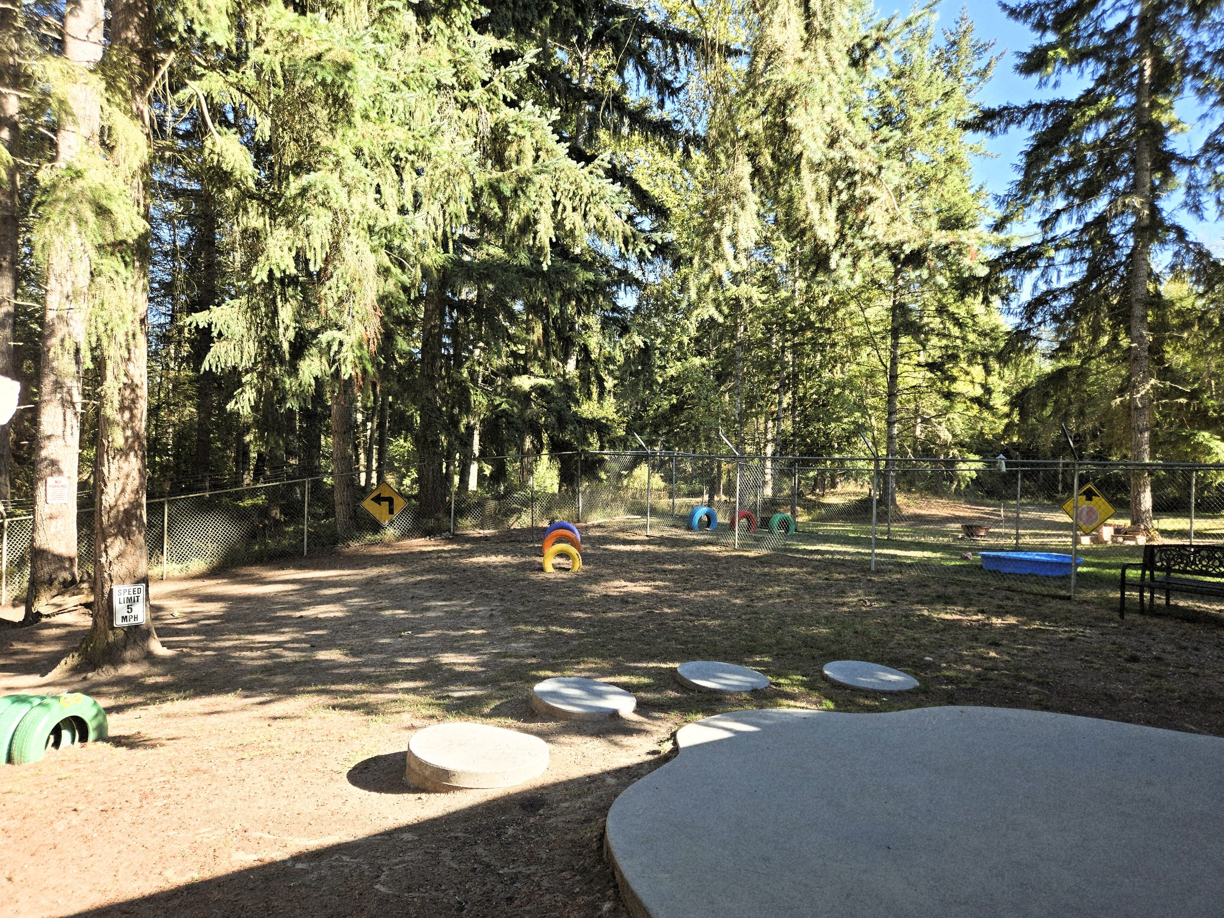 A dog play area with colorful tires, a fence, tall trees, and a sunny sky.