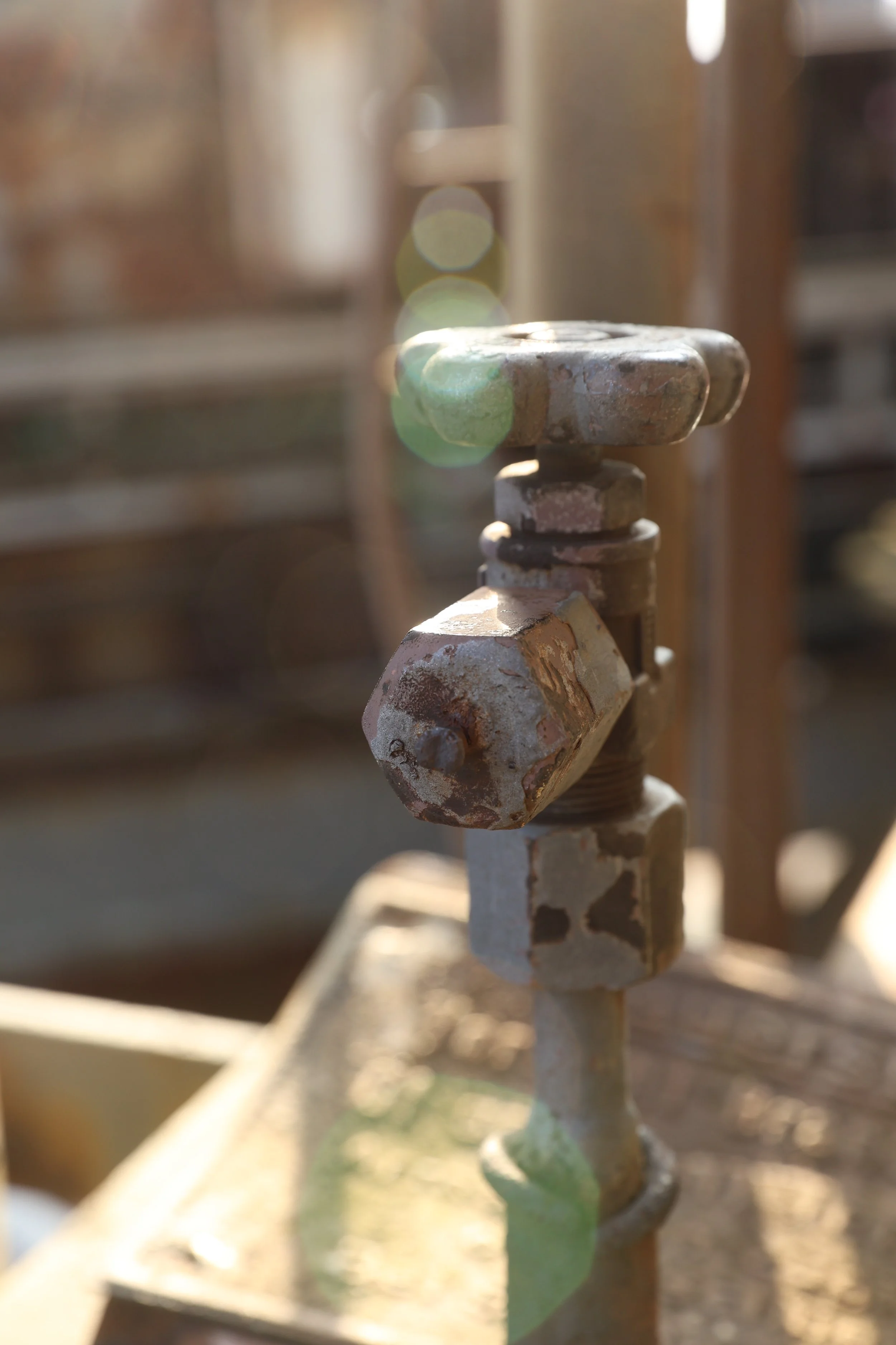 R6II5824.JPG
