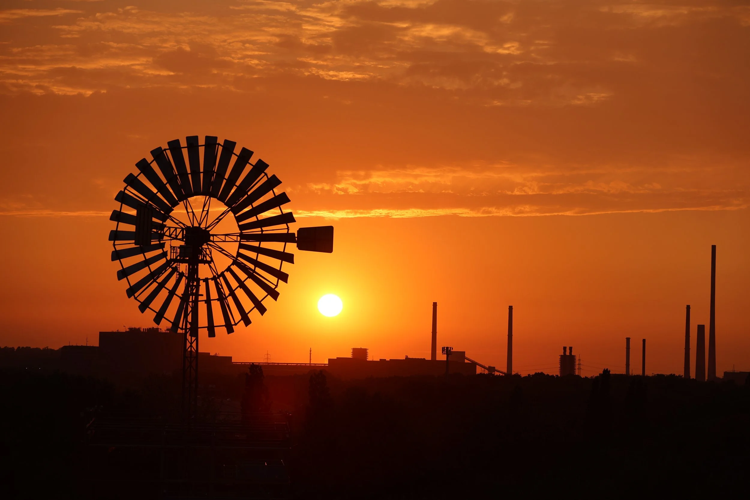 R6II6037.JPG