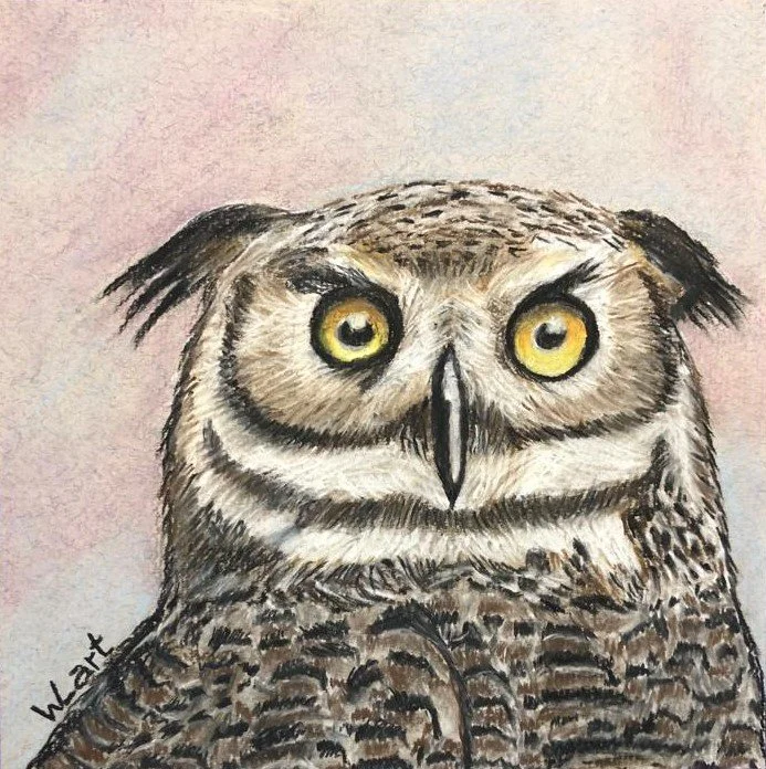 Owl2 Pastellstift November 2023.jpeg