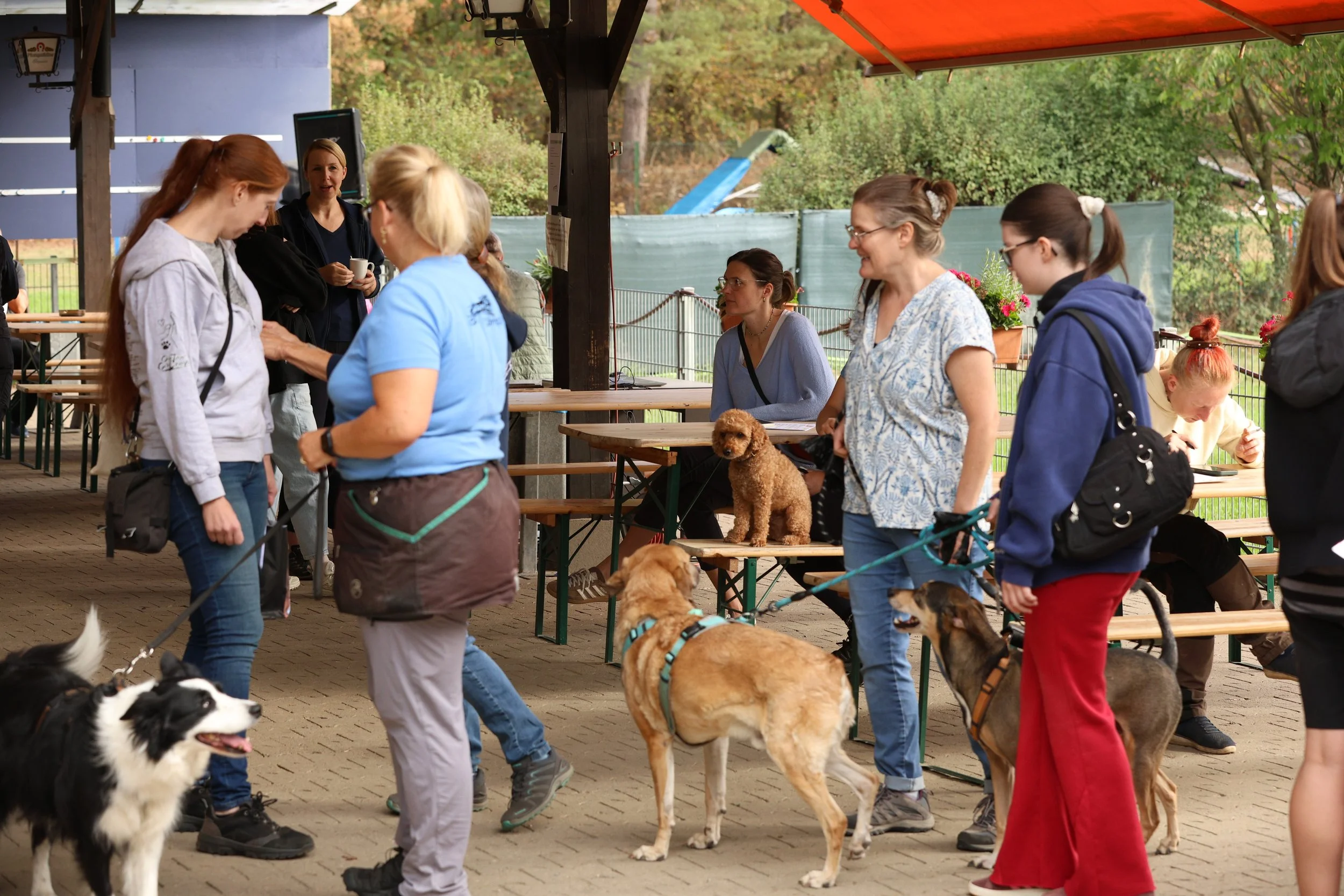 R6II7440.JPG