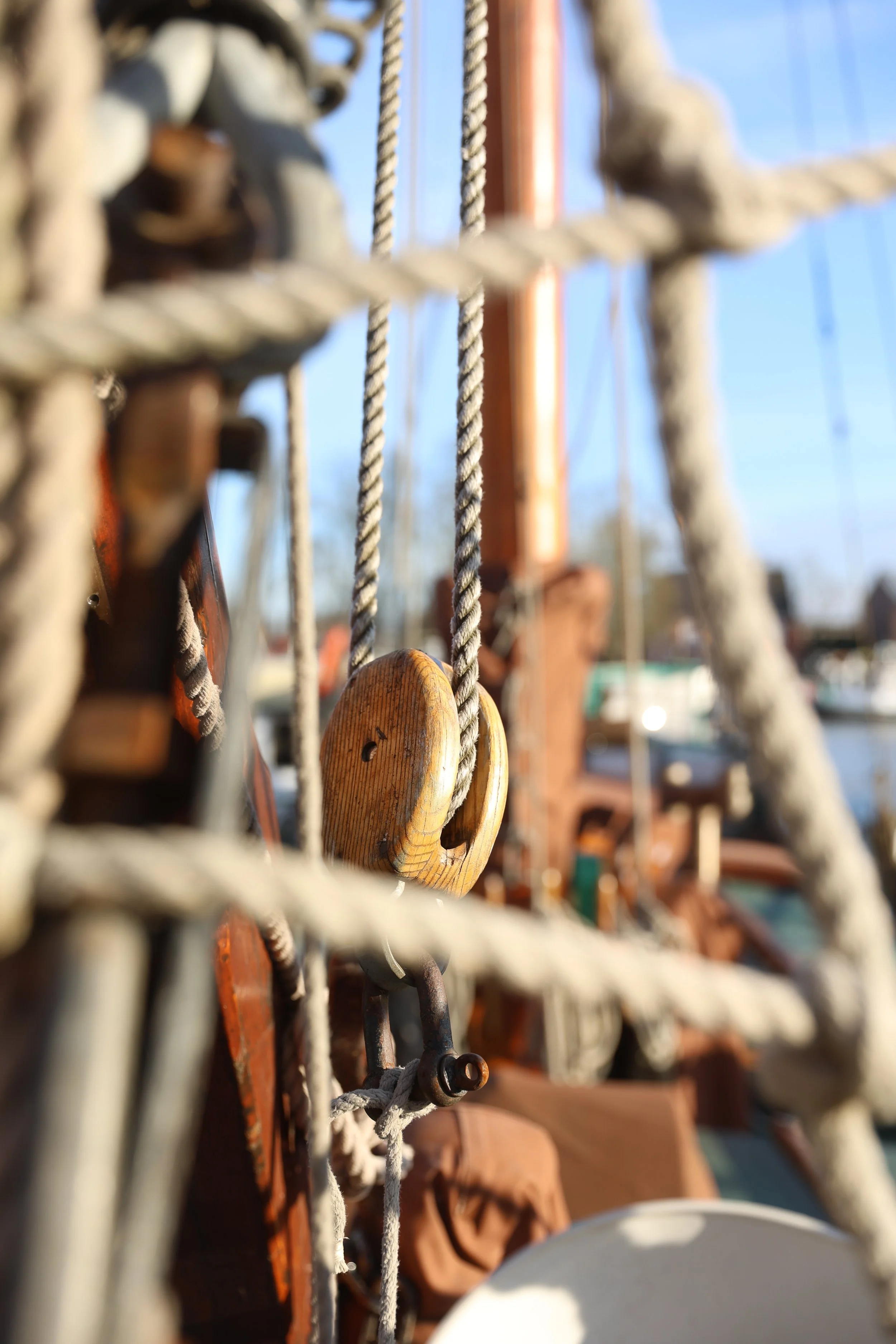 R6II0779.JPG