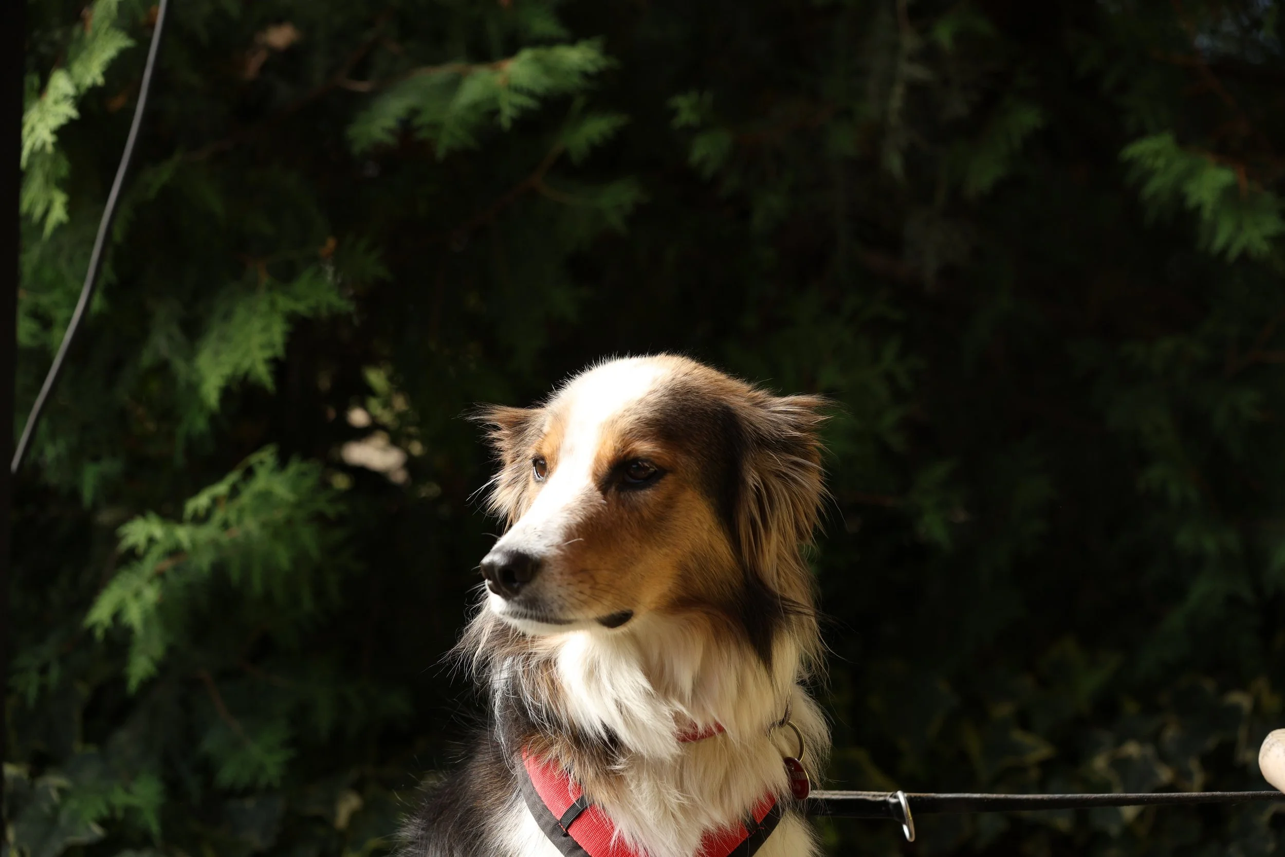 R6II7480.JPG