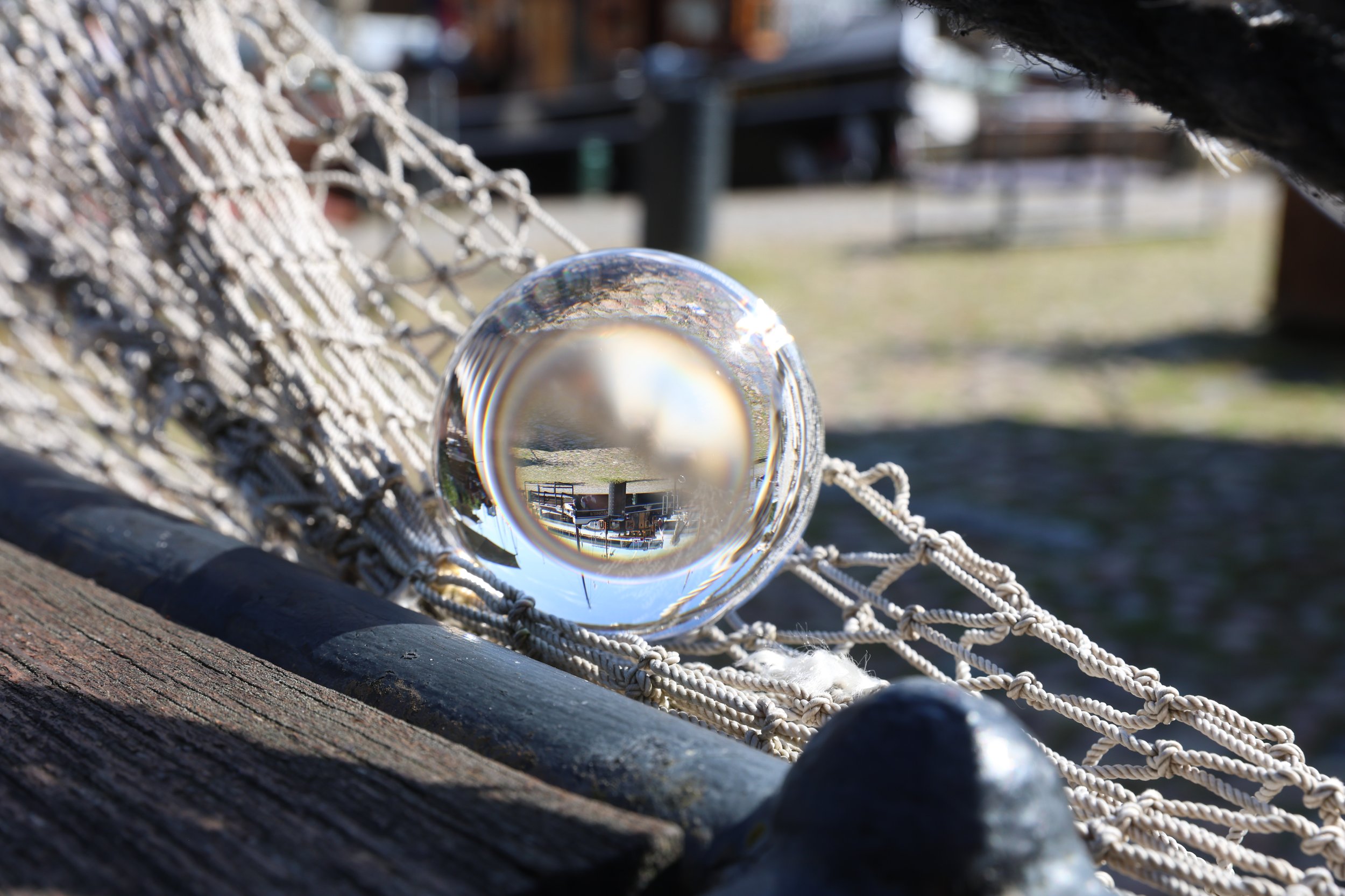 R6II6910.JPG