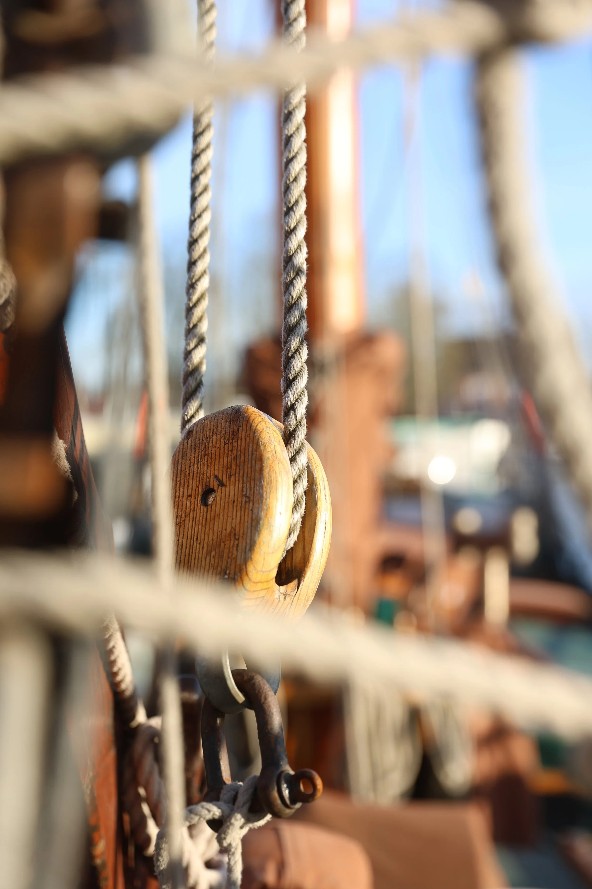 R6II0781.JPG