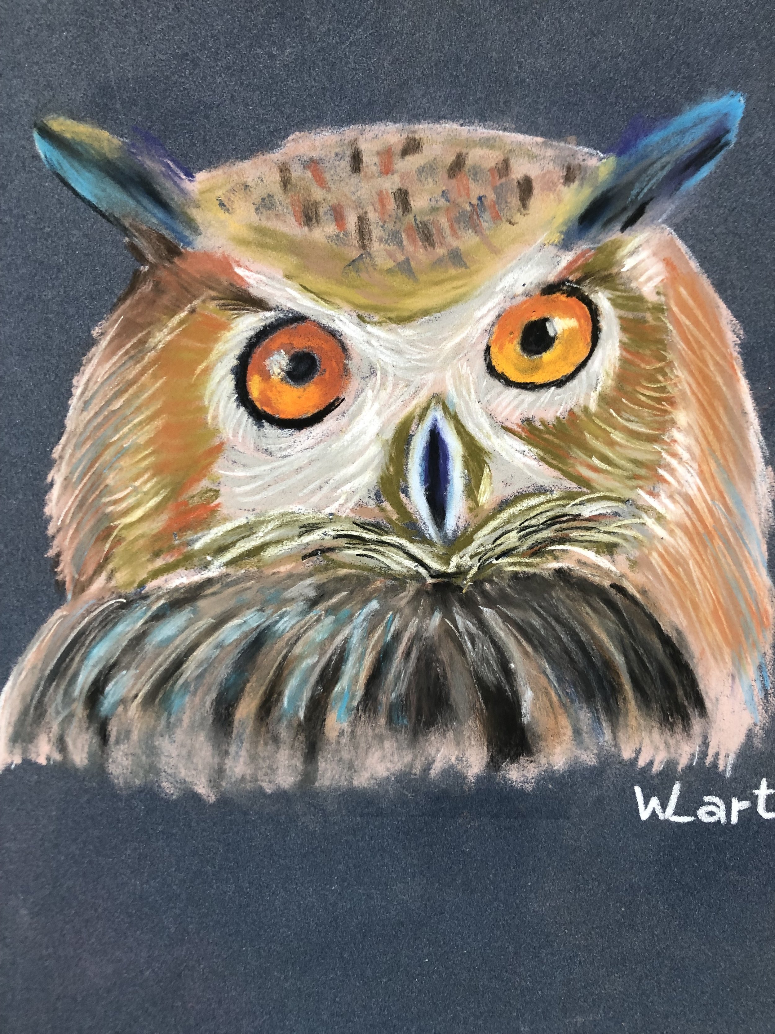 Owl Softpastell November 2023.JPG