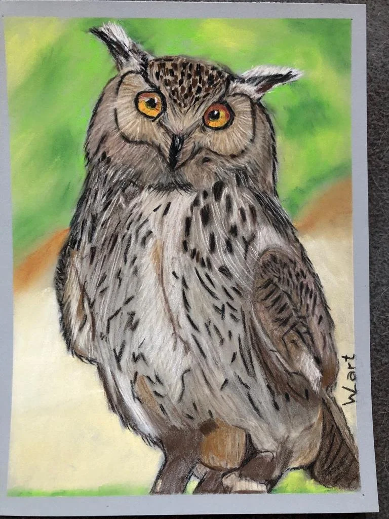 Owl3 Pastelstift November 2023.jpeg