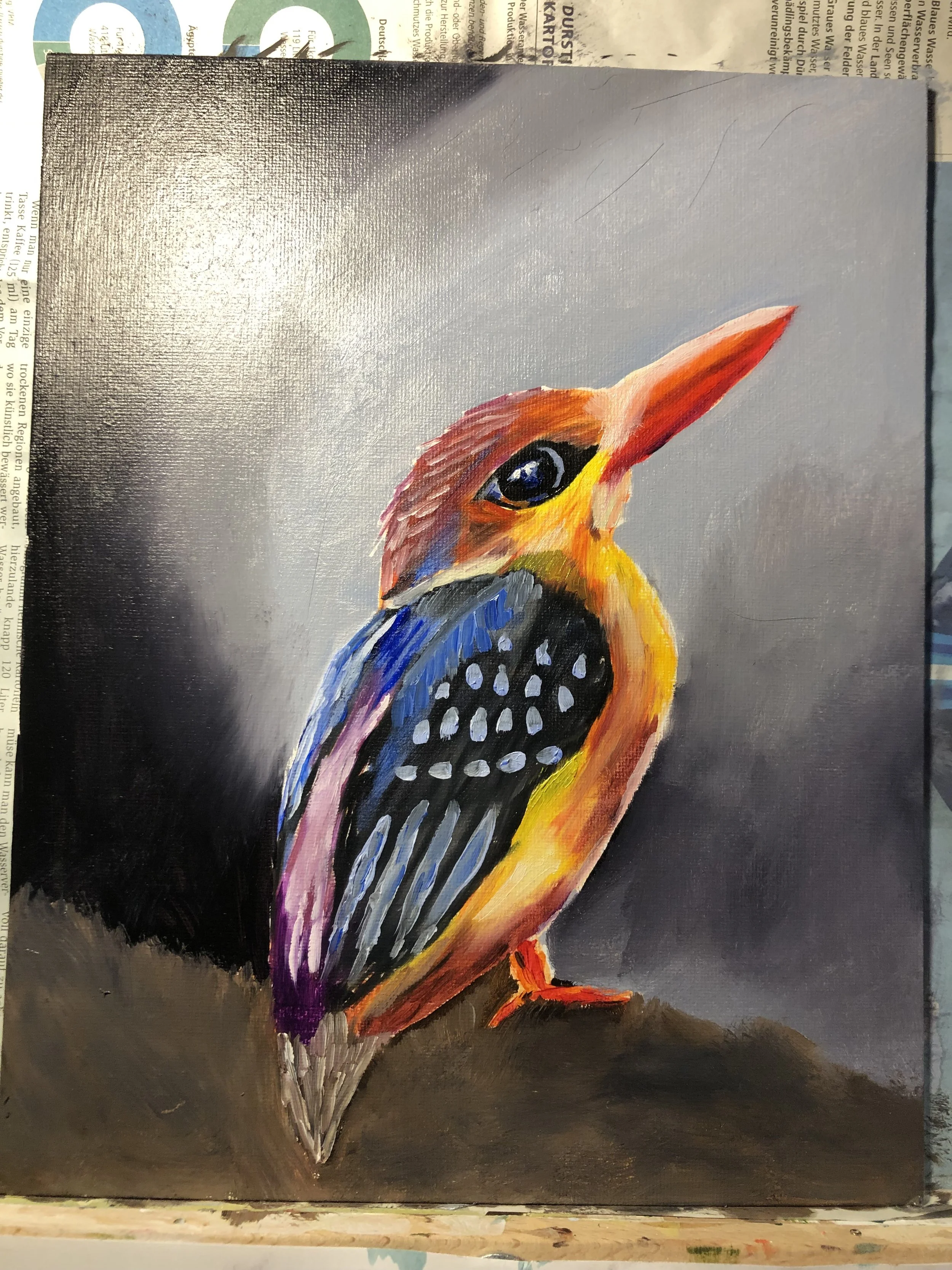Kingfisher Dez. 22.JPG