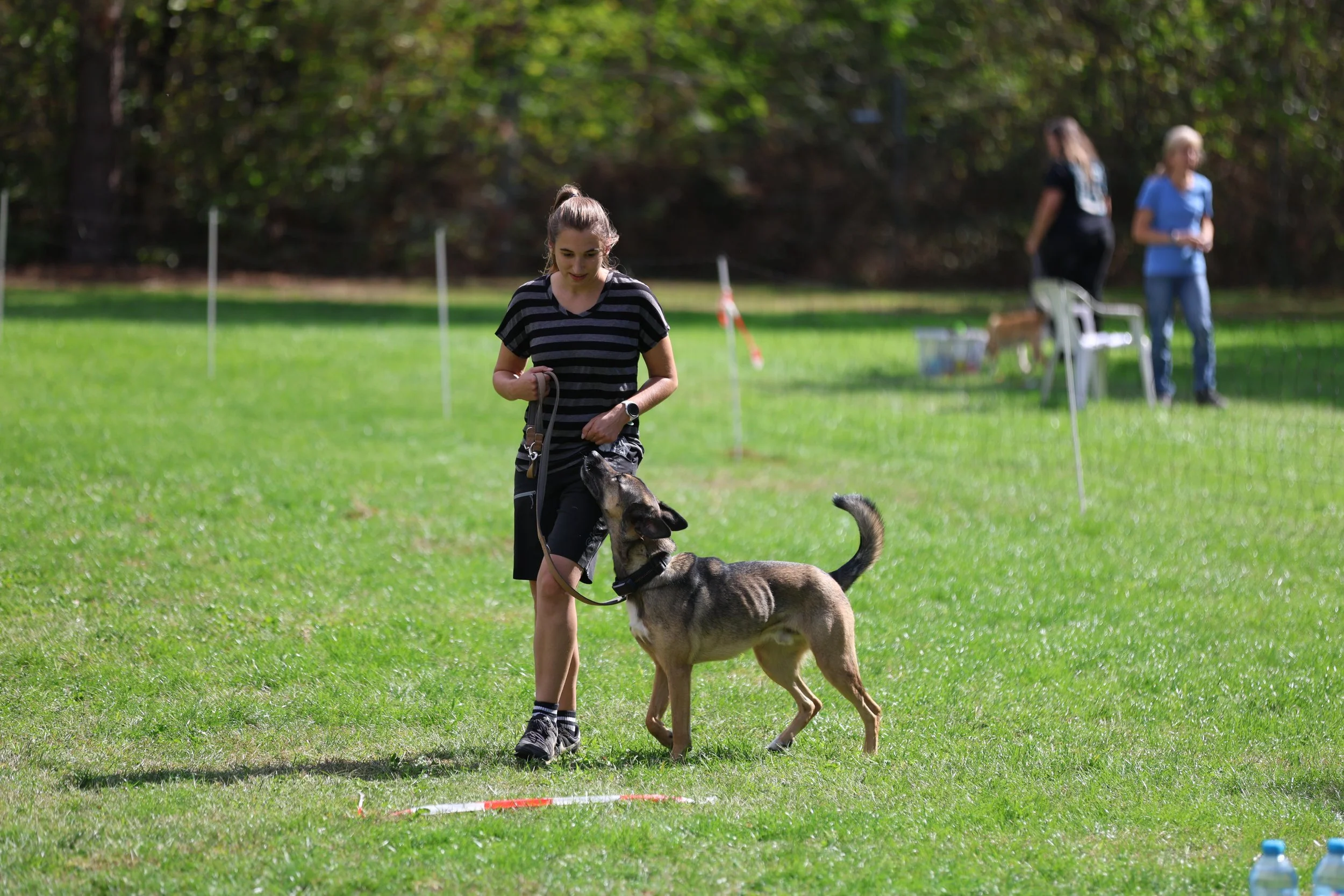 R6II8439.JPG